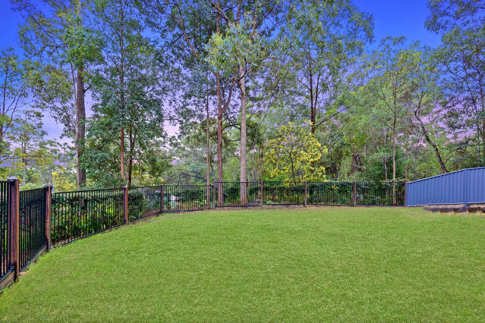 5 Native Bird Place, Buderim, QLD, 4556, Buderim - Thumbnail 2