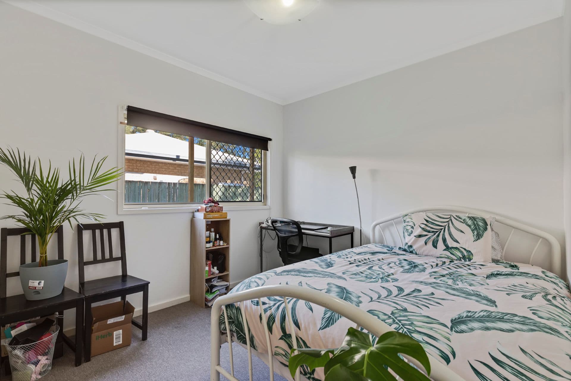 13 Kenewin Avenue, Maroochydore, QLD, 4558, Maroochydore - Thumbnail 7