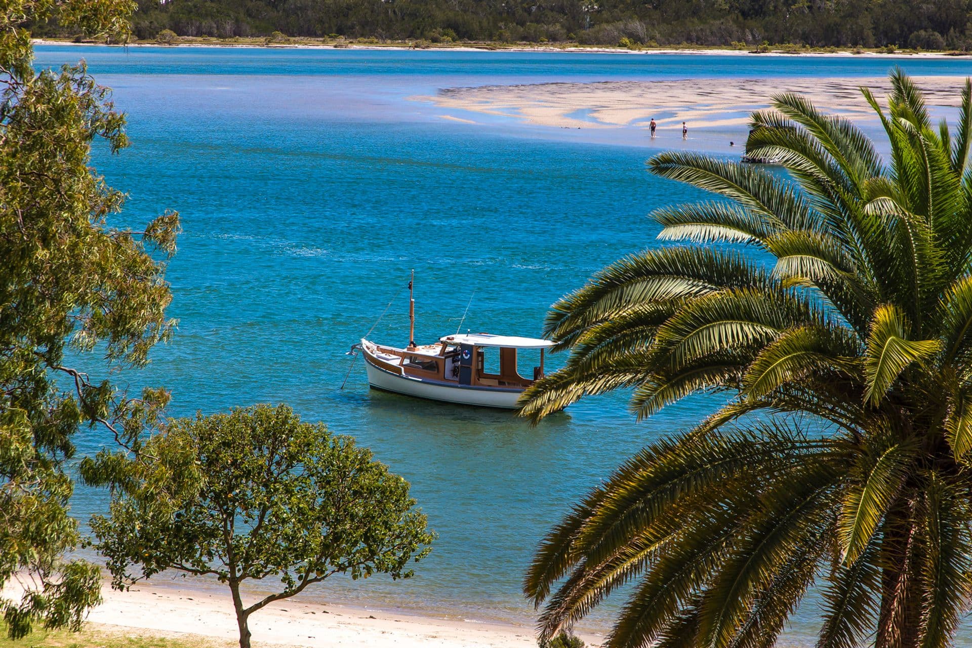 11/18-22 Picnic Point Esplanade, Maroochydore, QLD, 4558, Maroochydore - Thumbnail 2