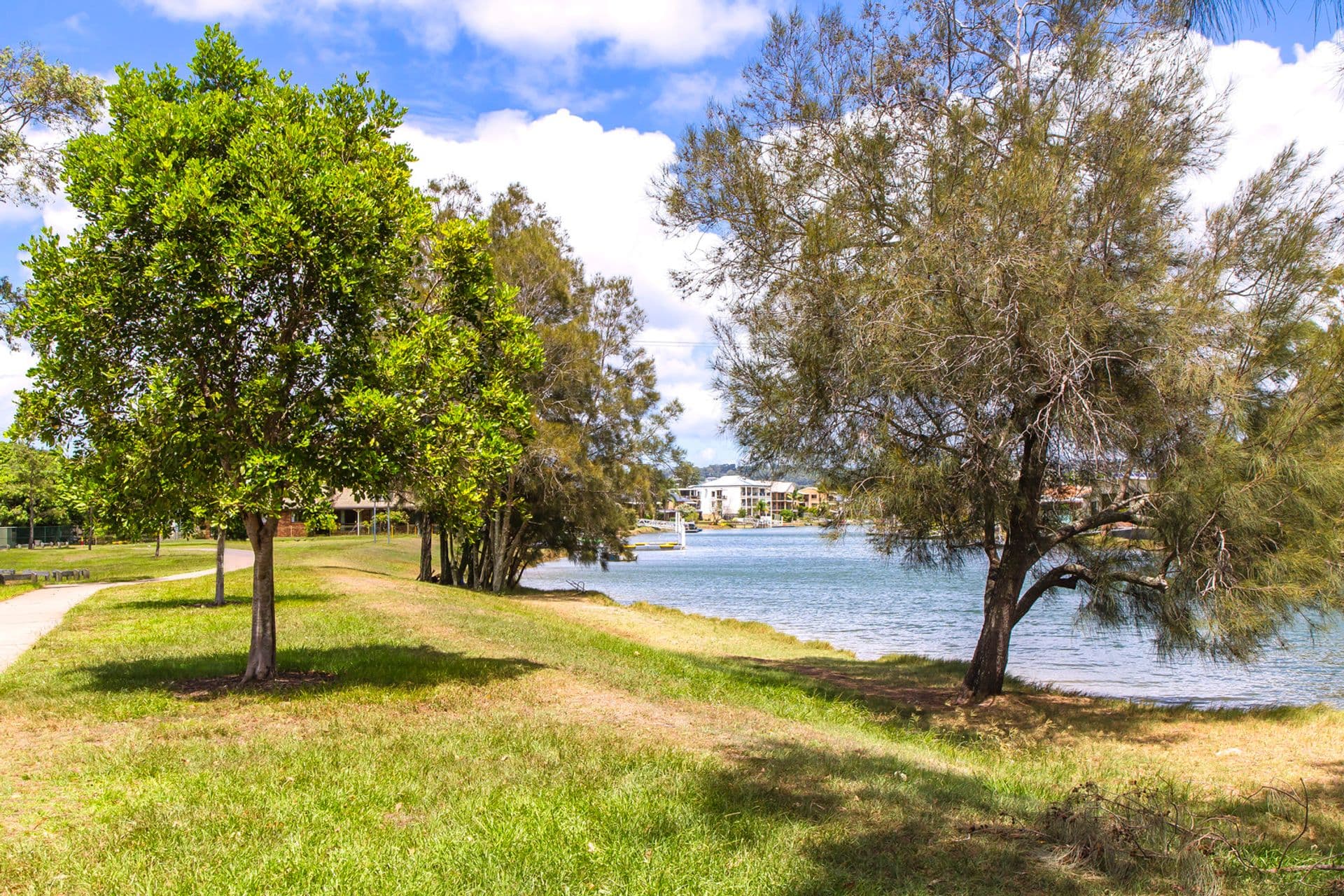 5/141 Duporth Avenue, Maroochydore, QLD, 4558, Maroochydore - Thumbnail 3