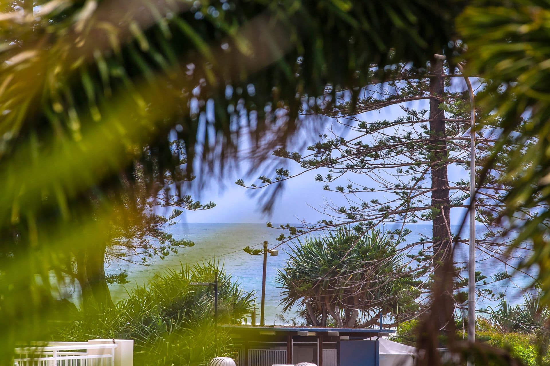 3/6 Alice Street, Alexandra Headland, QLD, 4572, Alexandra Headland - Thumbnail 6