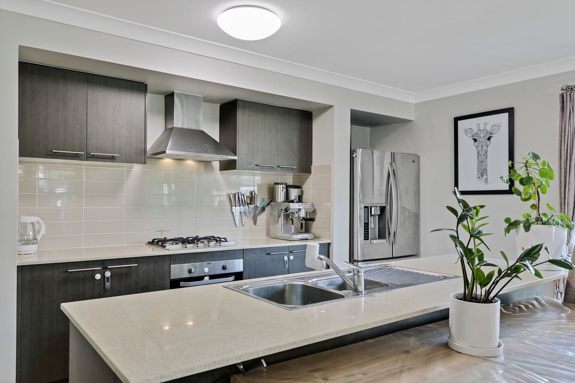26 Mackerel Street, Mountain Creek, QLD, 4557, Mountain Creek - Thumbnail 2
