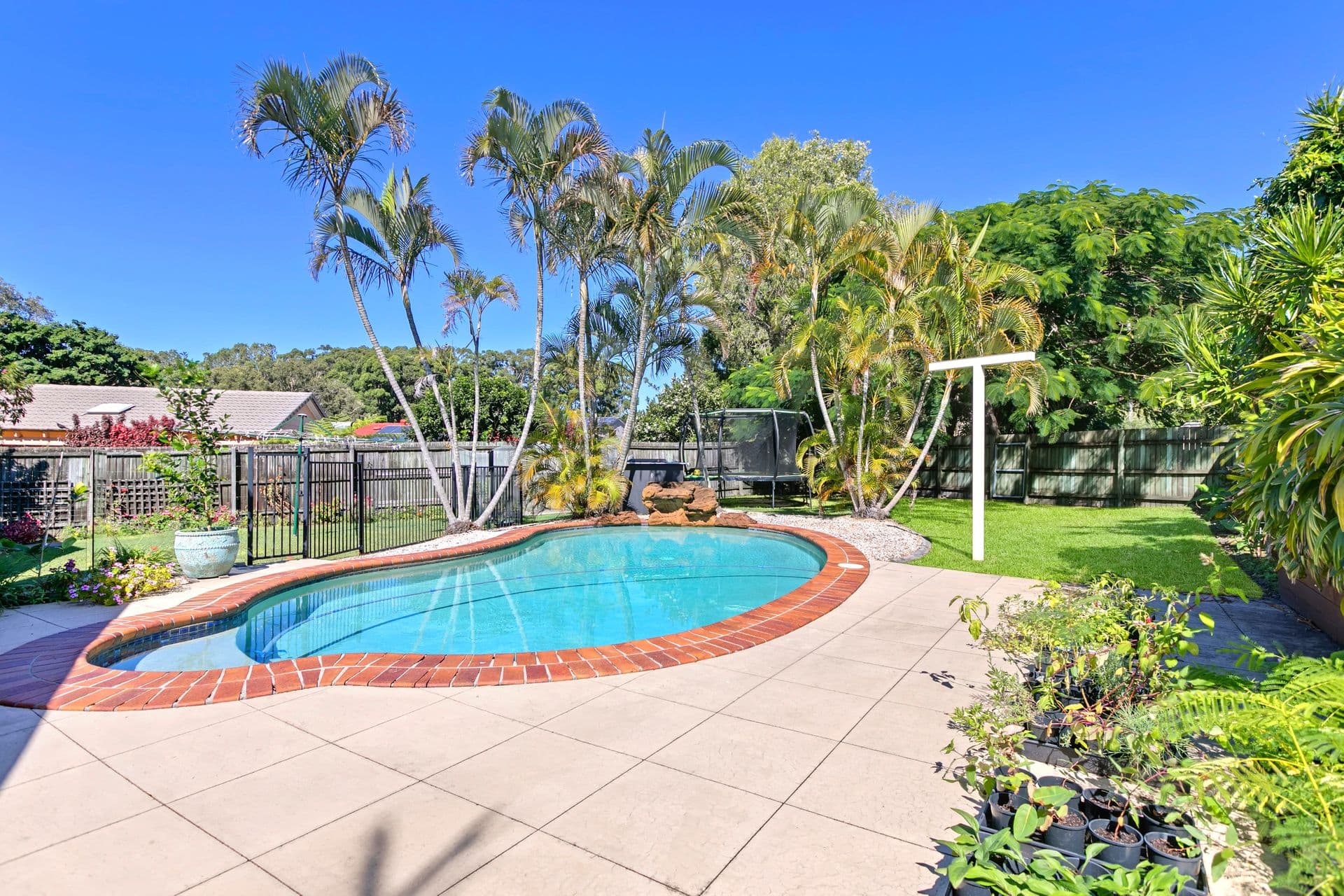 14 Hermosa Street, Mountain Creek, QLD, 4557, Mountain Creek - Thumbnail 2