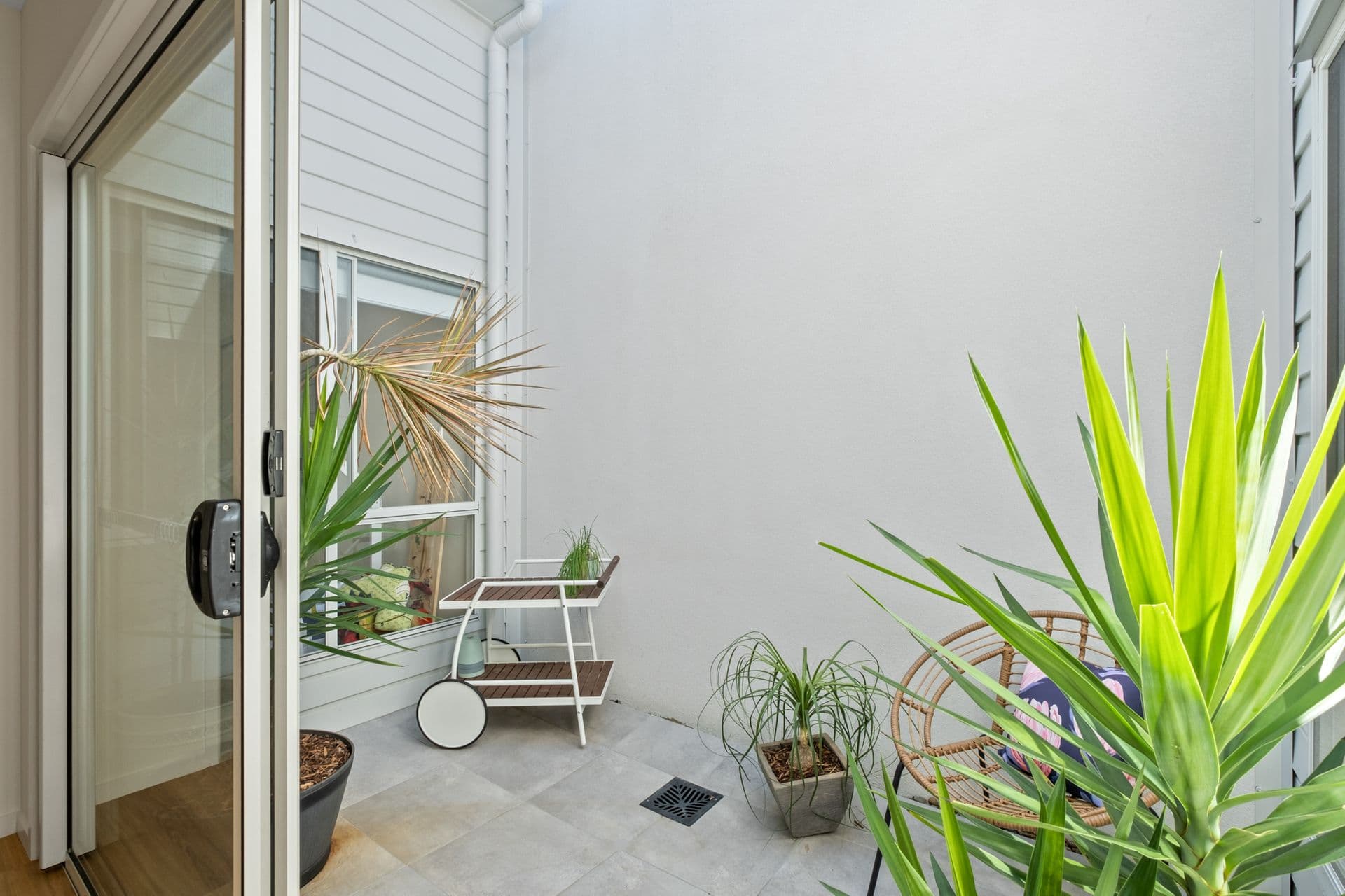 5 Dann Walk, Palmview, QLD, 4553, Palmview - Thumbnail 8