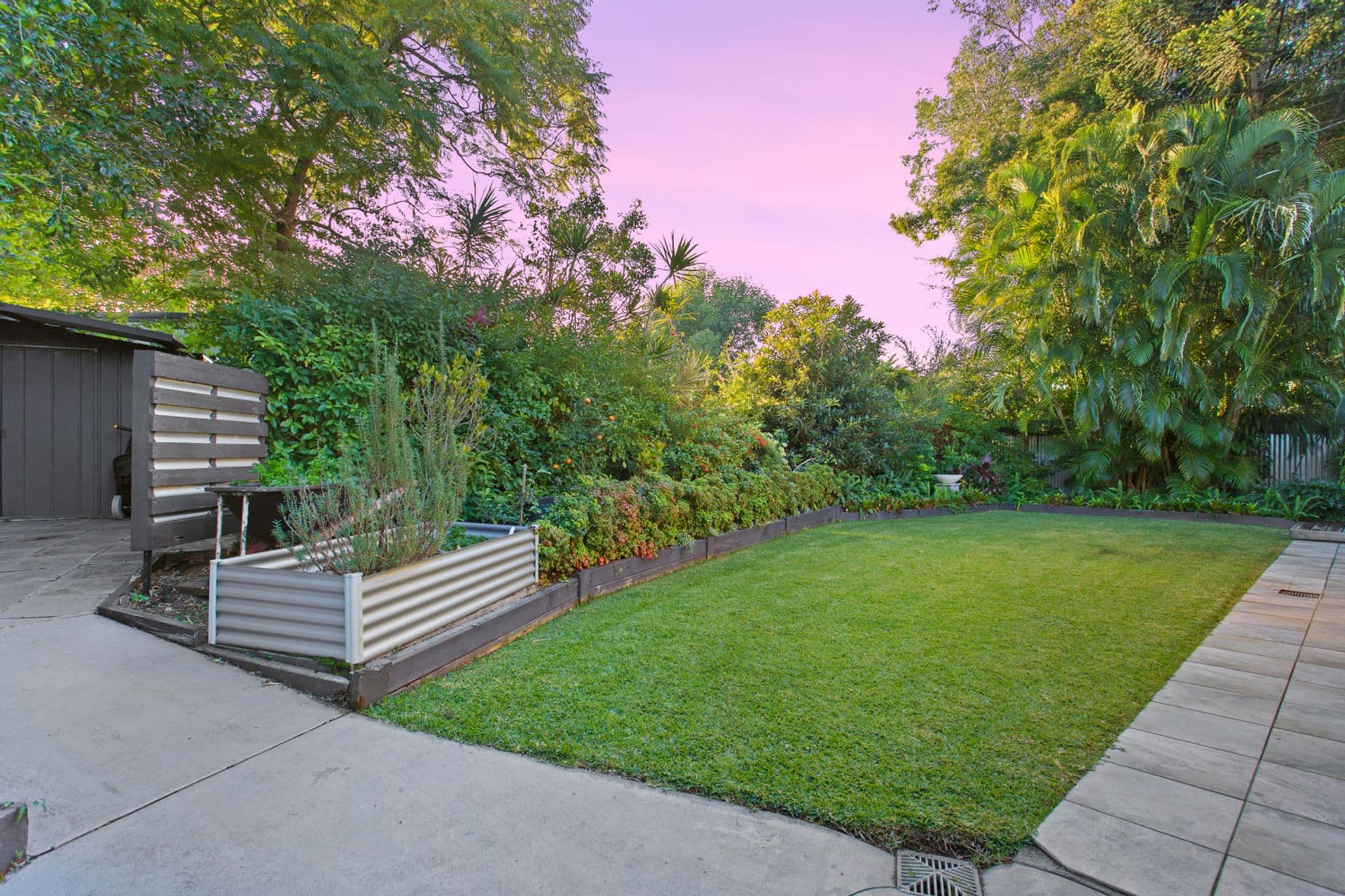4 Malibu Court, Mountain Creek, QLD, 4557, Mountain Creek - Thumbnail 2