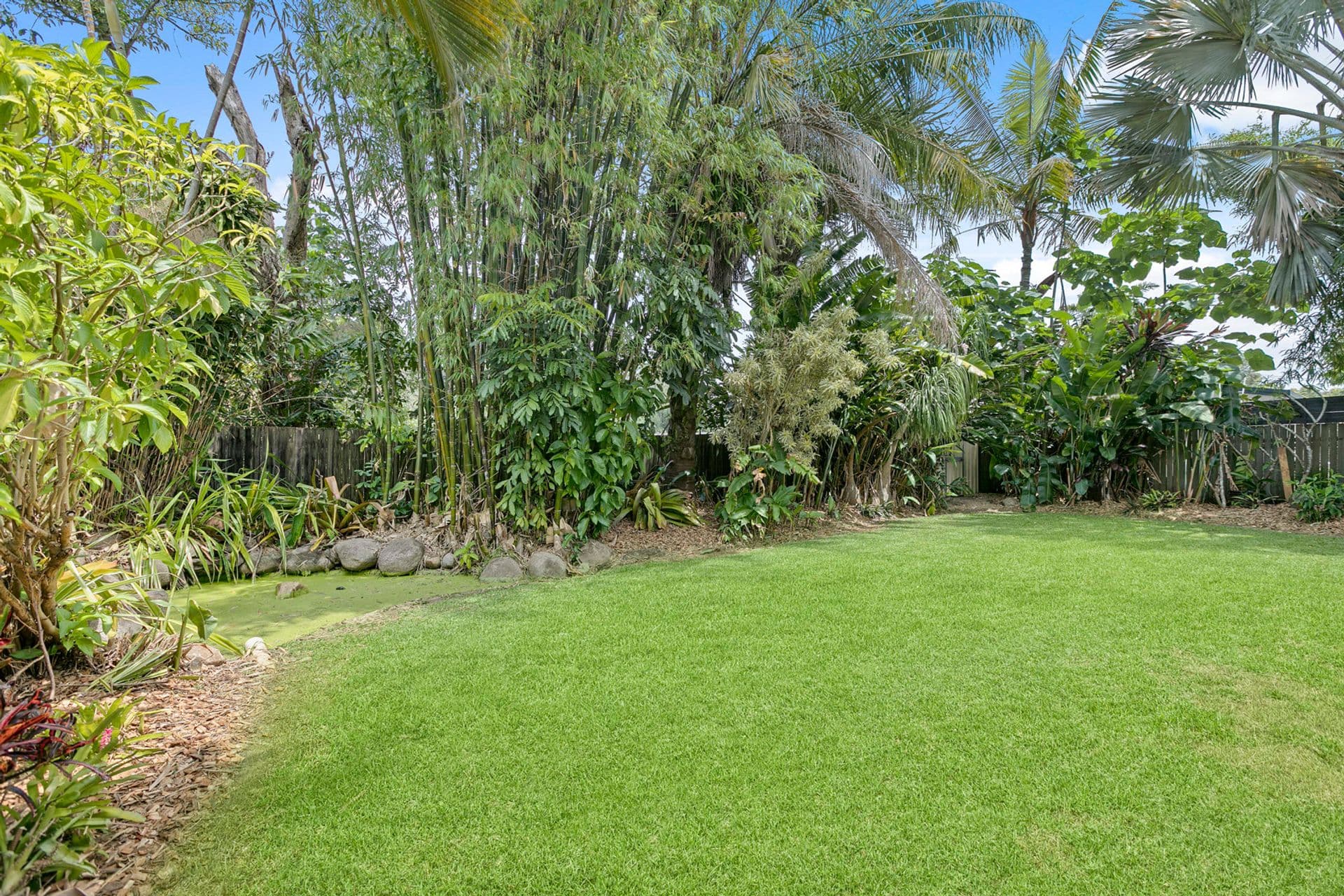 887 Old Maroochydore Road, Forest Glen, QLD, 4556, Forest Glen - Thumbnail 4