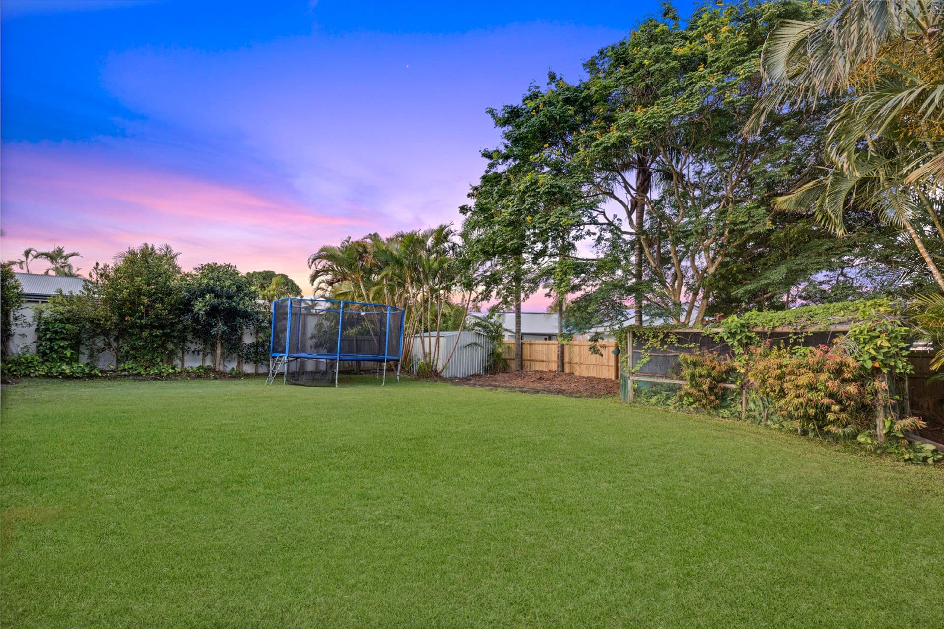 22 Gossamer Drive, Buderim, QLD, 4556, Buderim - Thumbnail 3