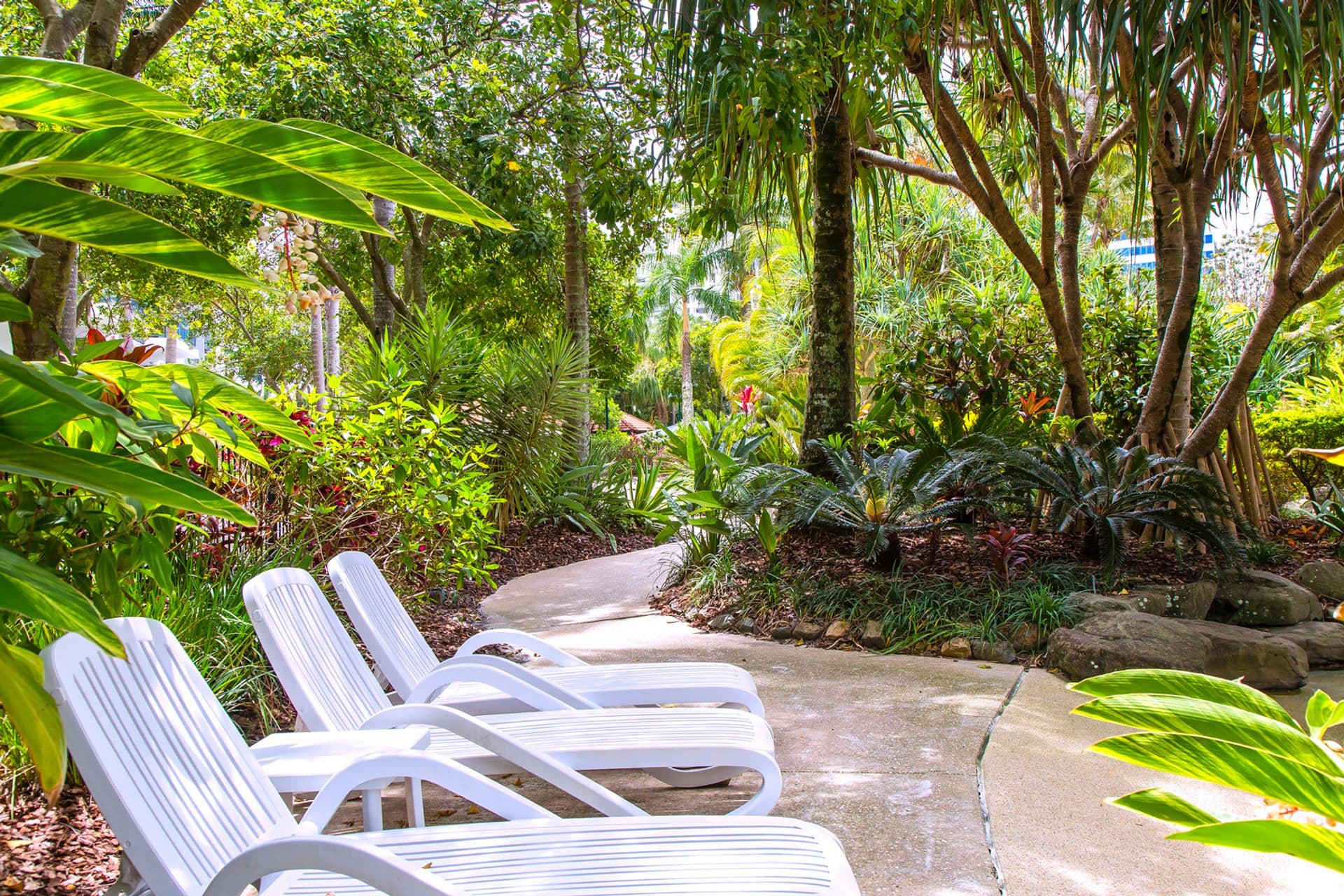 332/21 Wirraway Street, Alexandra Headland, QLD, 4572, Alexandra Headland - Thumbnail 6