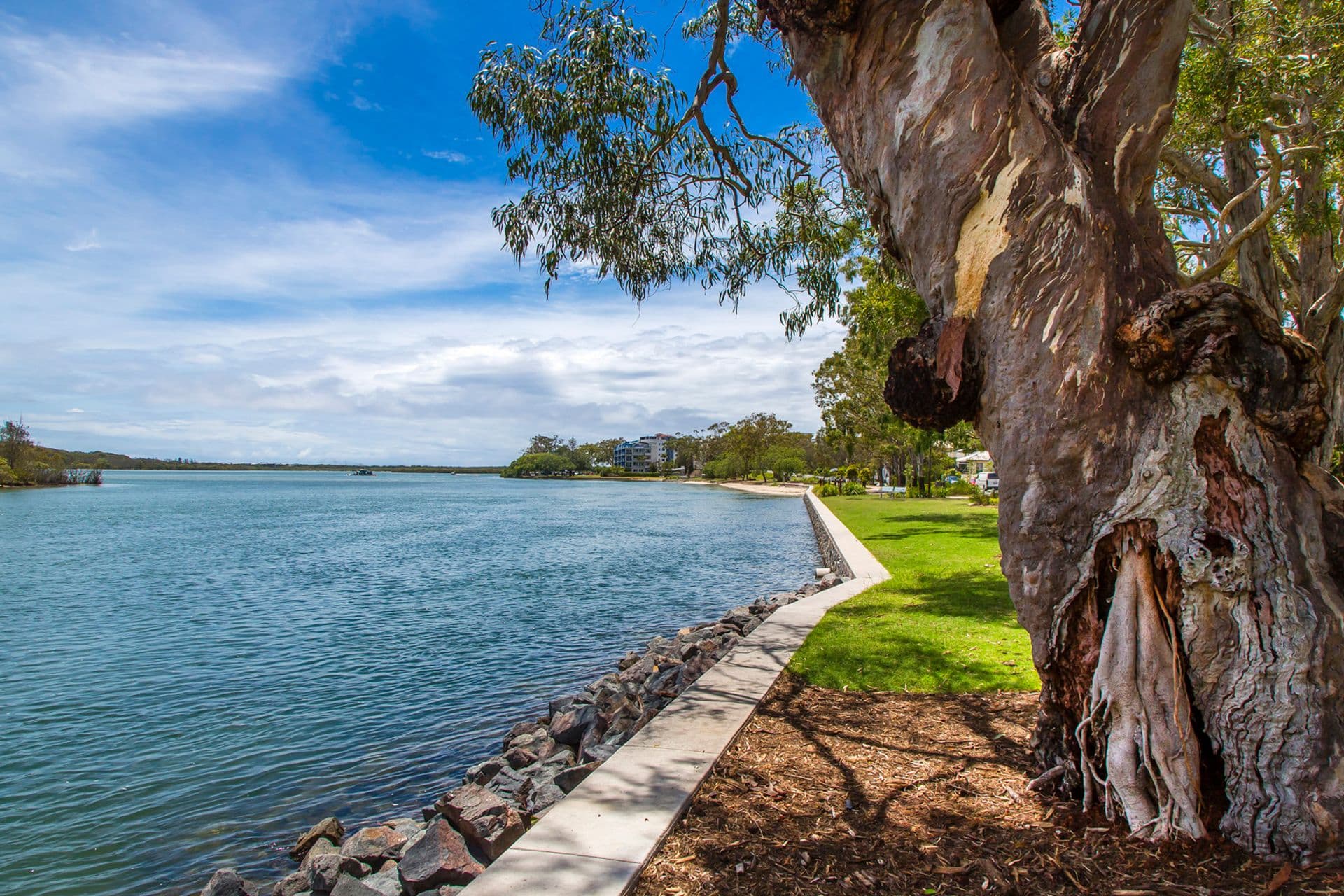 4/41 Bradman Avenue, Maroochydore, QLD, 4558, Maroochydore - Thumbnail 4