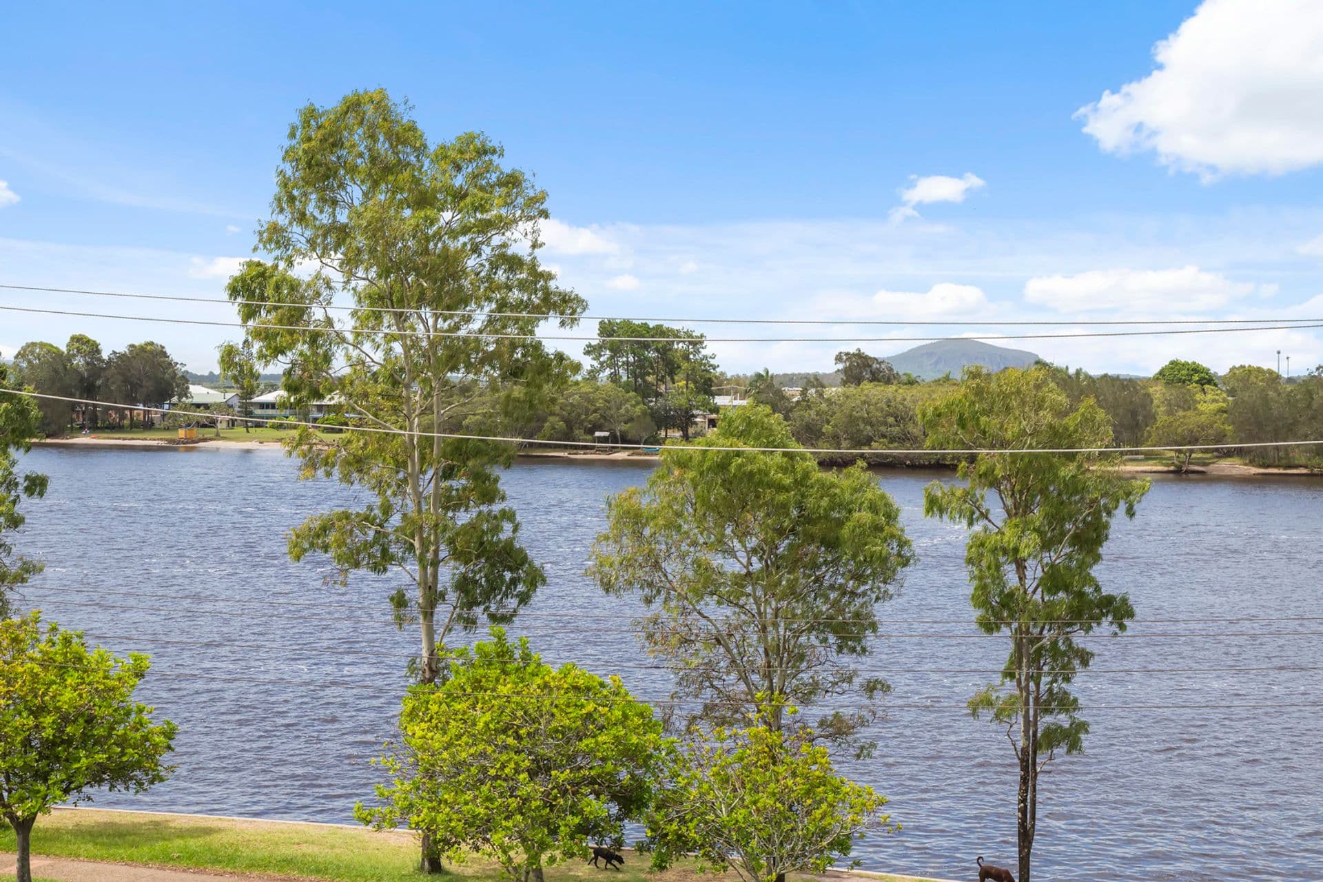 6/311 Bradman Avenue, Maroochydore, QLD, 4558, Maroochydore - Thumbnail 7