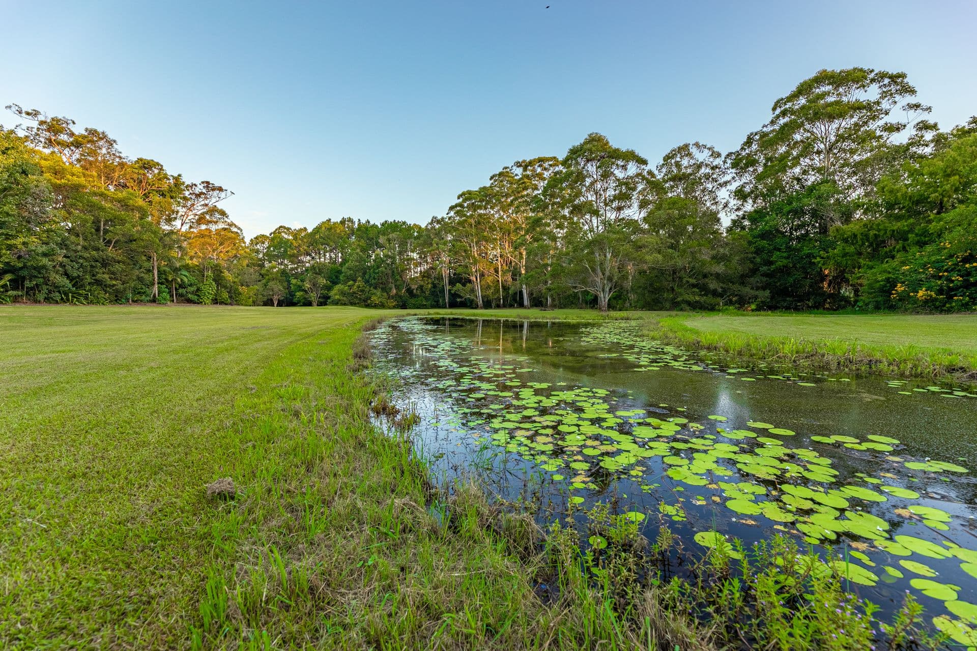 48 London Creek Road, Peachester, QLD, 4519, Peachester - Thumbnail 5