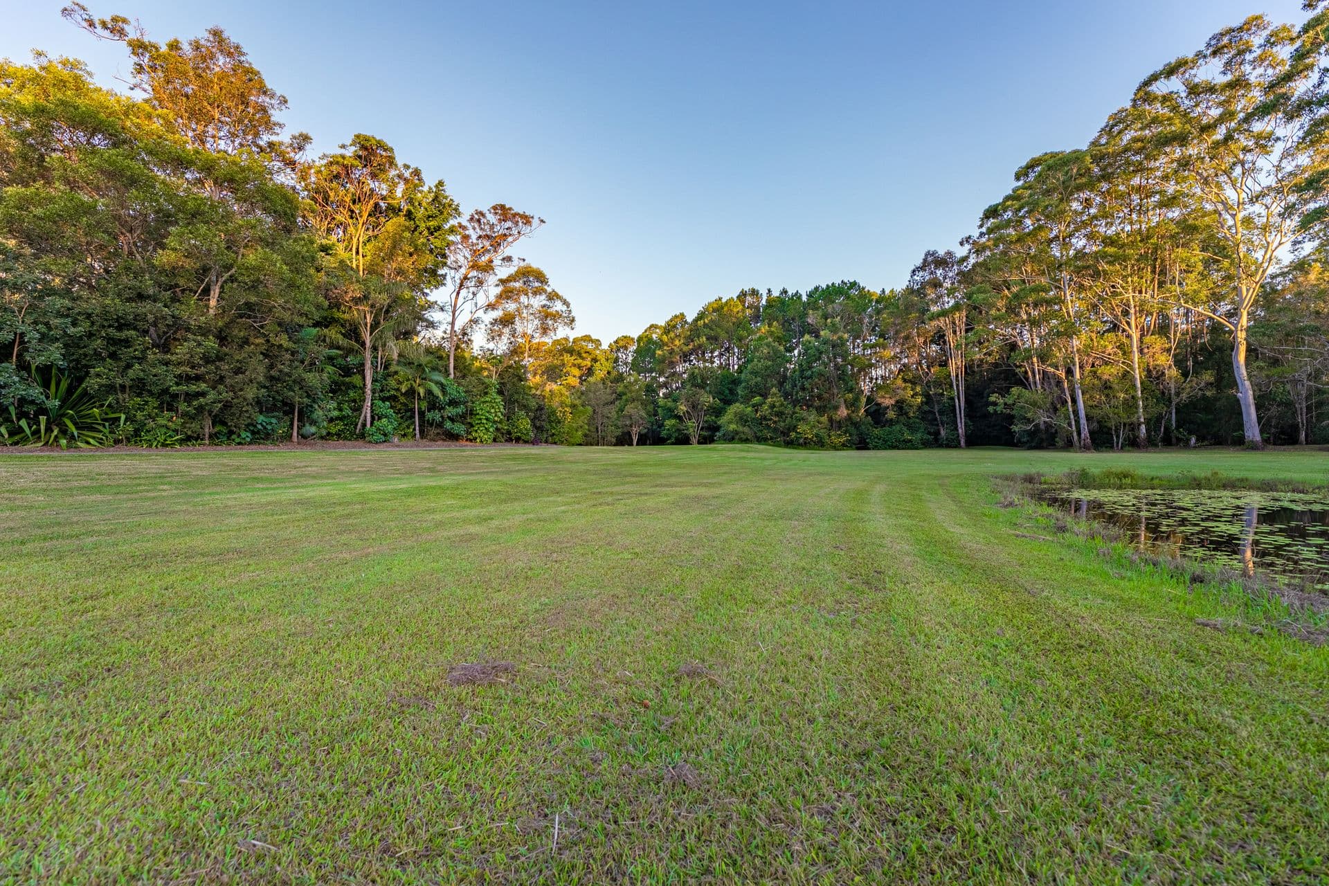 48 London Creek Road, Peachester, QLD, 4519, Peachester - Thumbnail 7