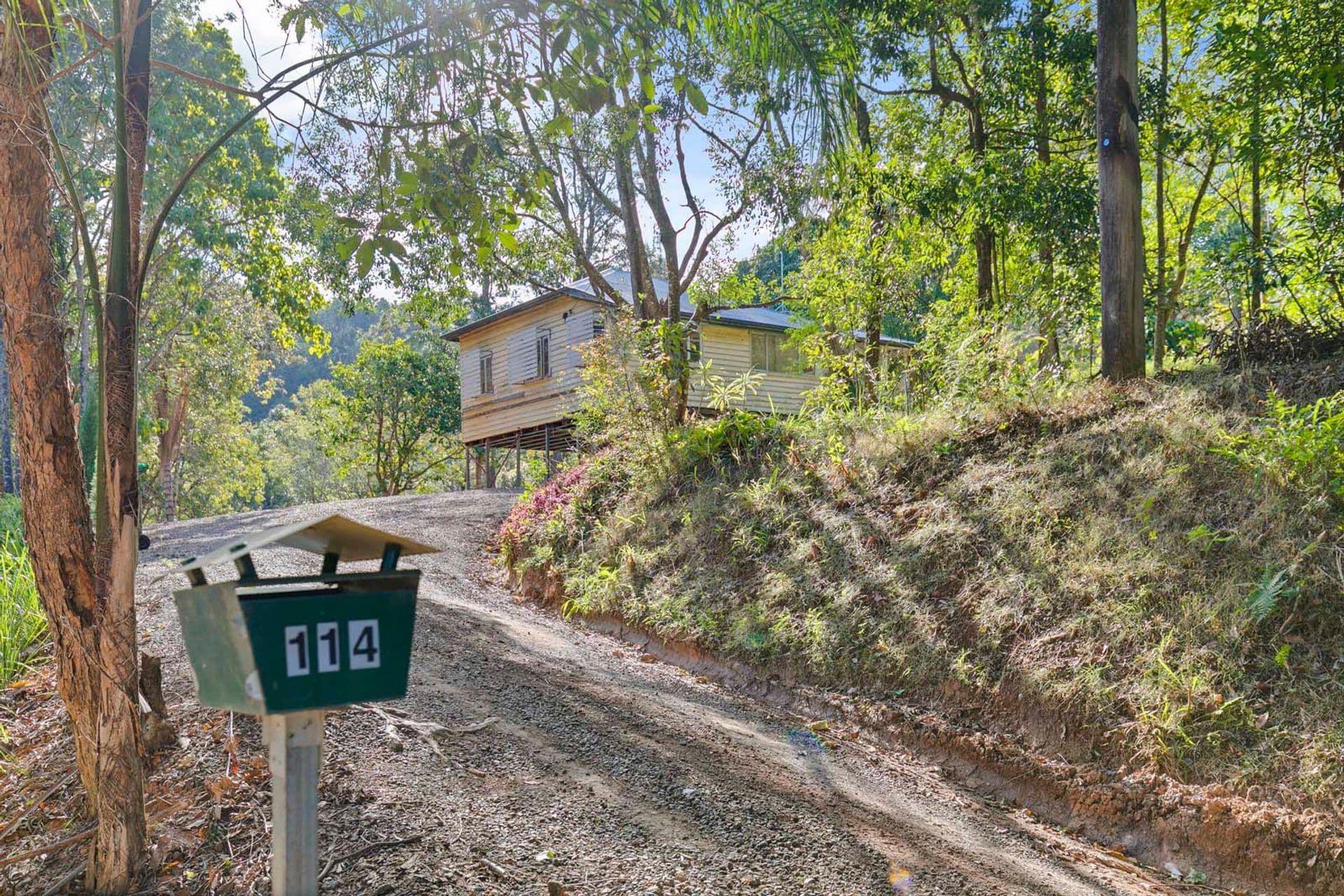 114 Macdonald Road, Palmwoods, QLD, 4555, Palmwoods - Thumbnail 6