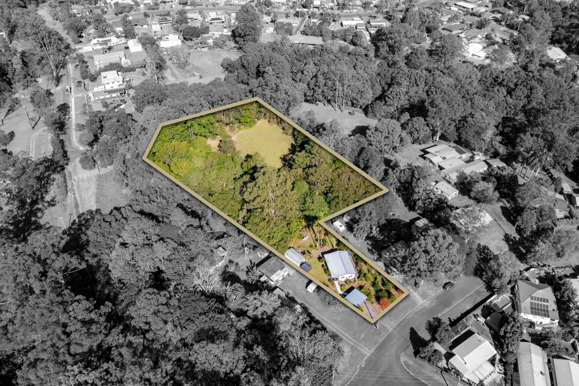 60 Paget Street, Mooloolah Valley, QLD, 4553, Mooloolah Valley - Thumbnail 3