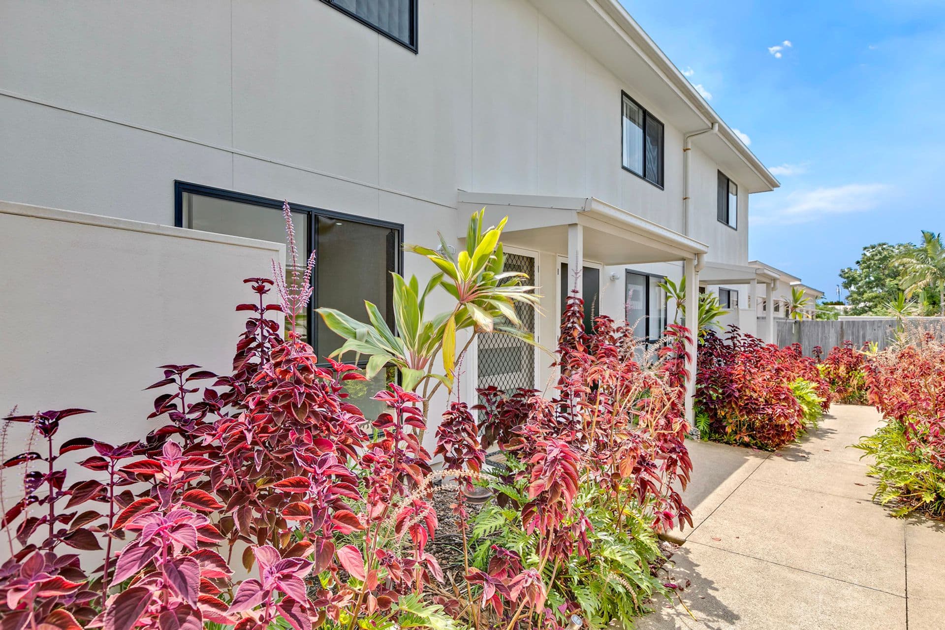 4/18 Tolman Court, Maroochydore, QLD, 4558, Maroochydore - Thumbnail 7