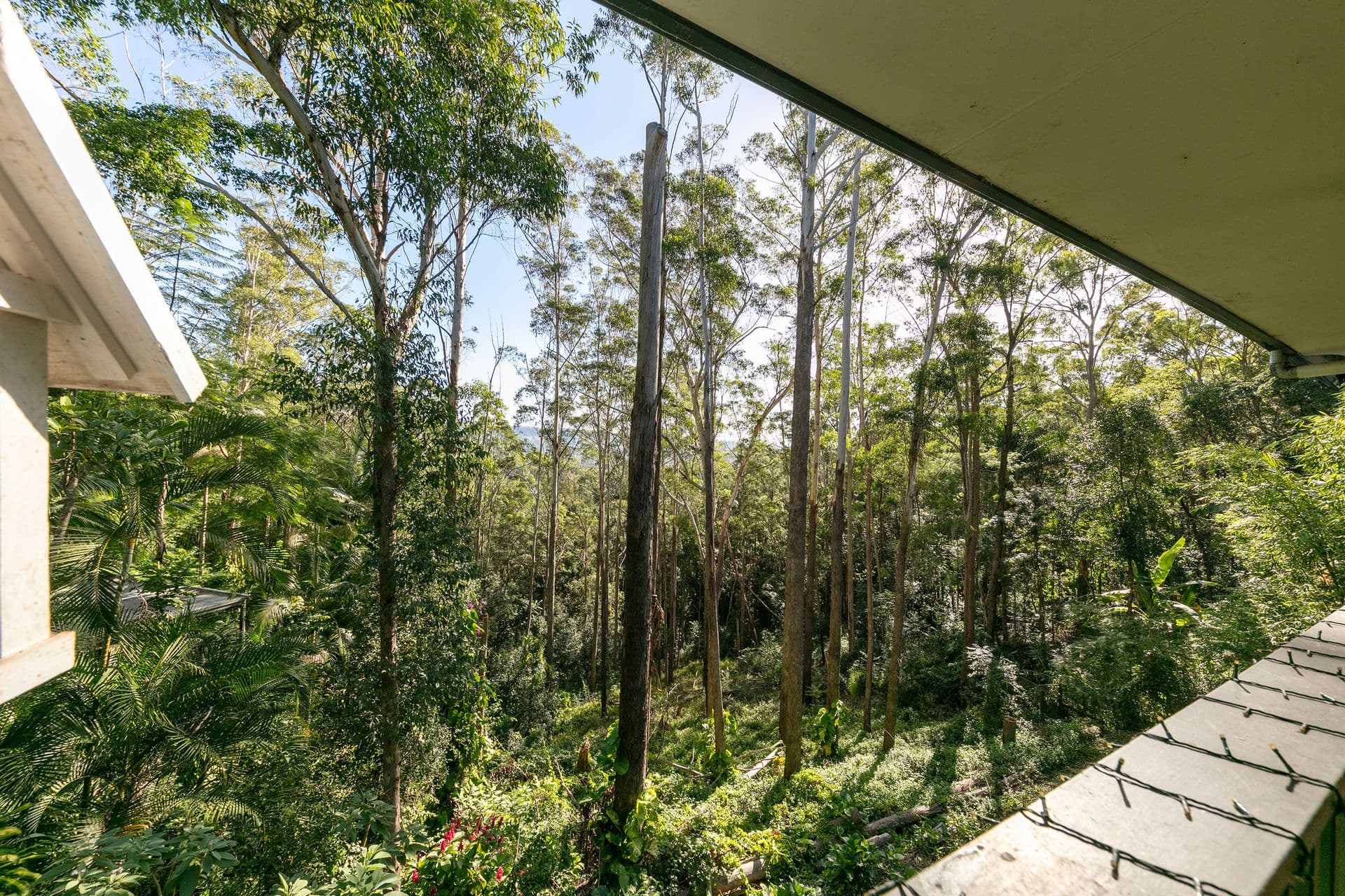 89-91 Panorama Drive, Nambour, QLD, 4560, Nambour - Thumbnail 3