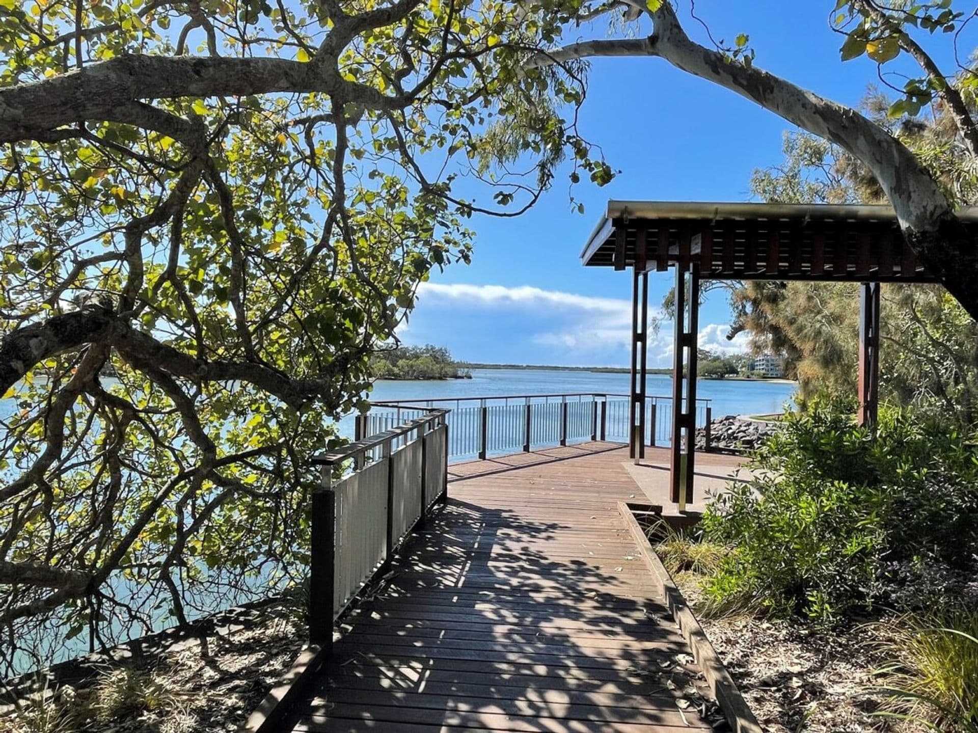 19/139-141 Bradman Avenue, Maroochydore, QLD, 4558, Maroochydore - Thumbnail 4