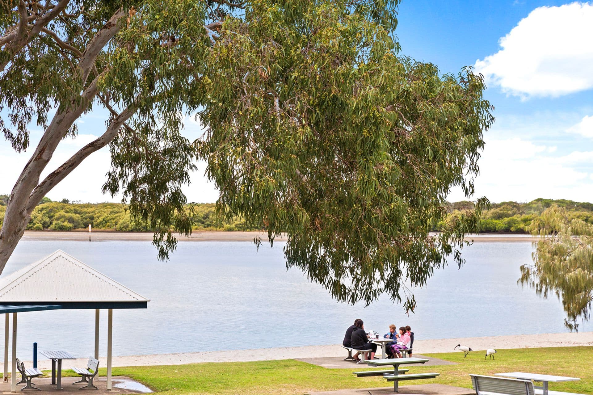 3/40-44 Picnic Point Esplanade, Maroochydore, QLD, 4558, Maroochydore - Thumbnail 2