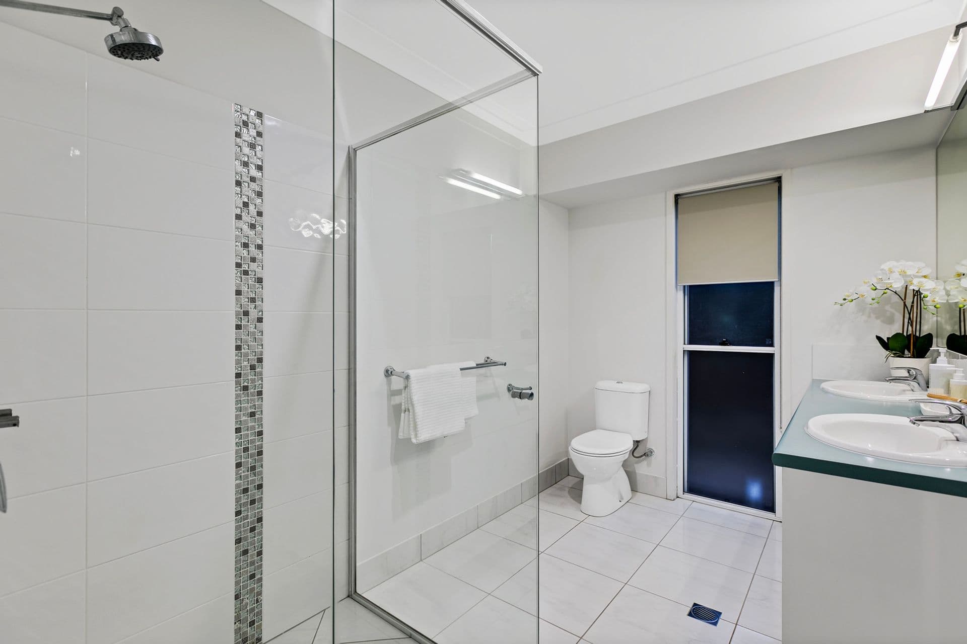 19 Blue Fin Circuit, Mountain Creek, QLD, 4557, Mountain Creek - Thumbnail 8