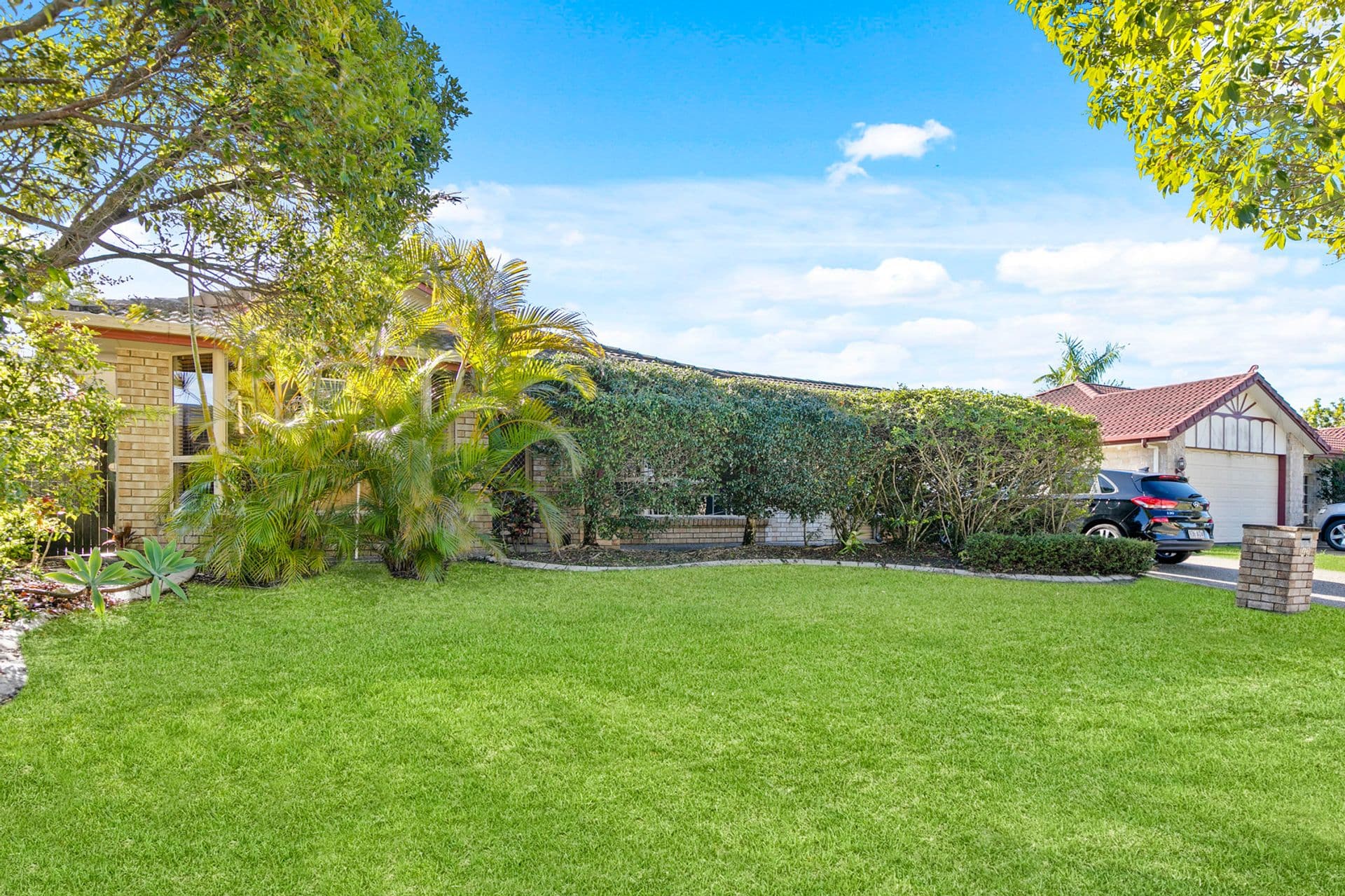 42 Mountain Ash Drive, Mountain Creek, QLD, 4557, Mountain Creek - Image 1
