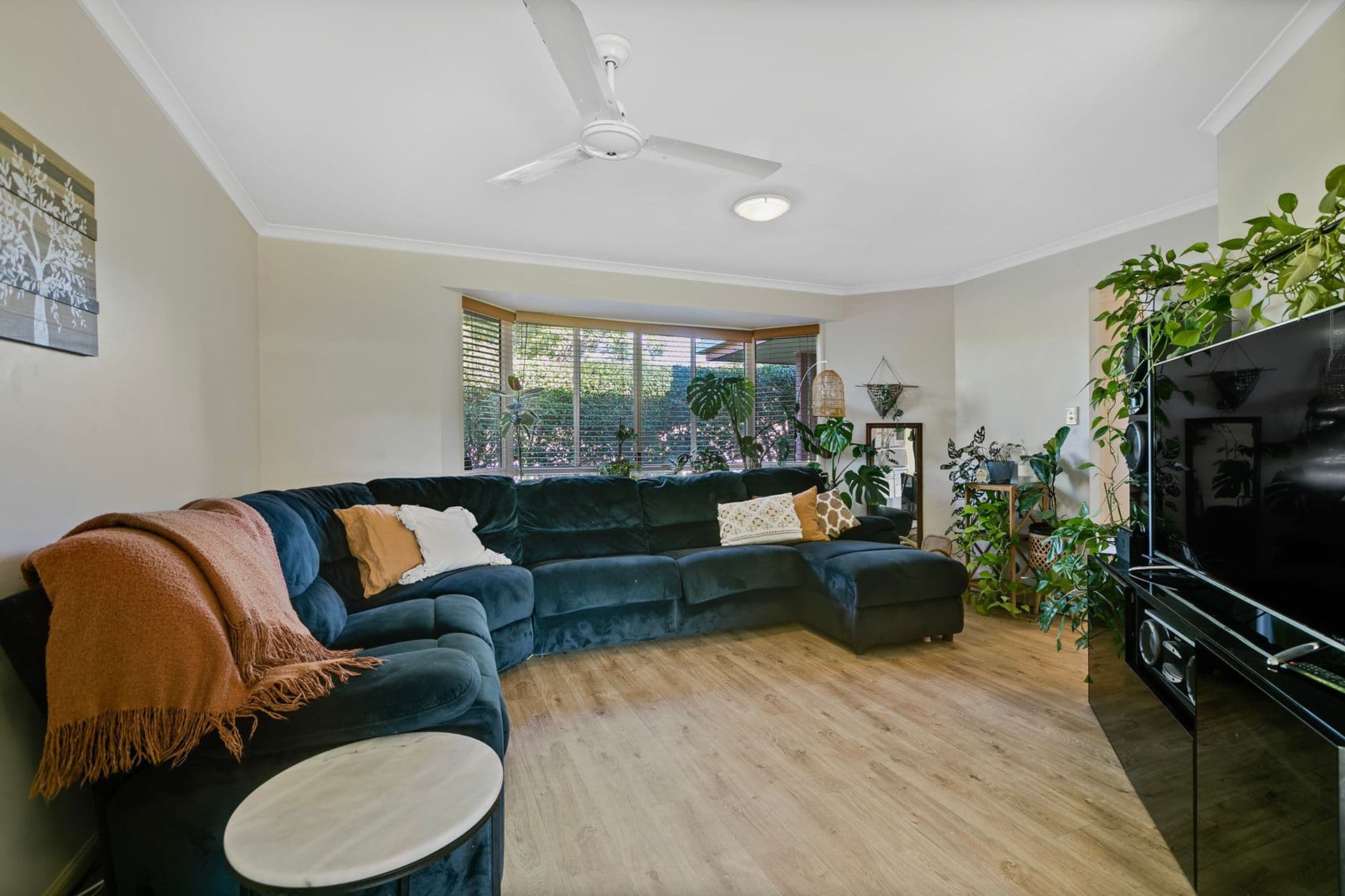 42 Mountain Ash Drive, Mountain Creek, QLD, 4557, Mountain Creek - Thumbnail 6