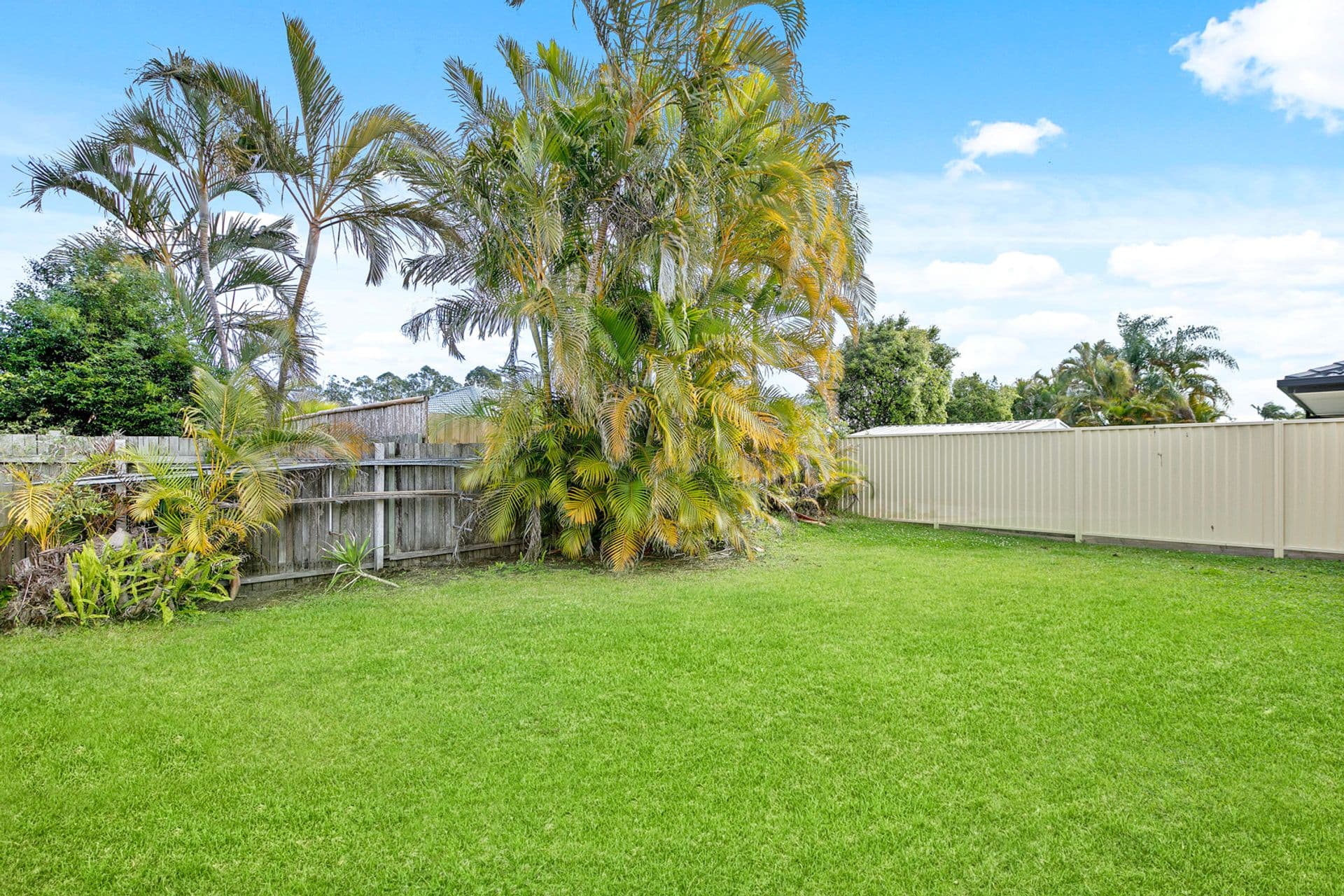 3 Calluna Place, Mountain Creek, QLD, 4557, Mountain Creek - Thumbnail 7