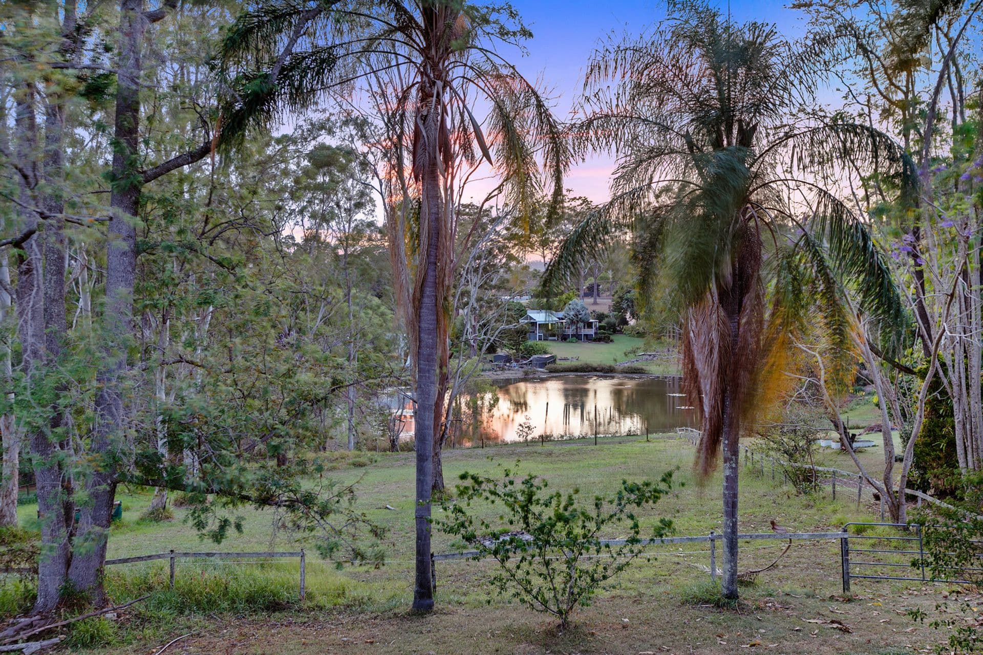 29 Ballantyne Court, Glenview, QLD, 4553, Glenview - Thumbnail 6