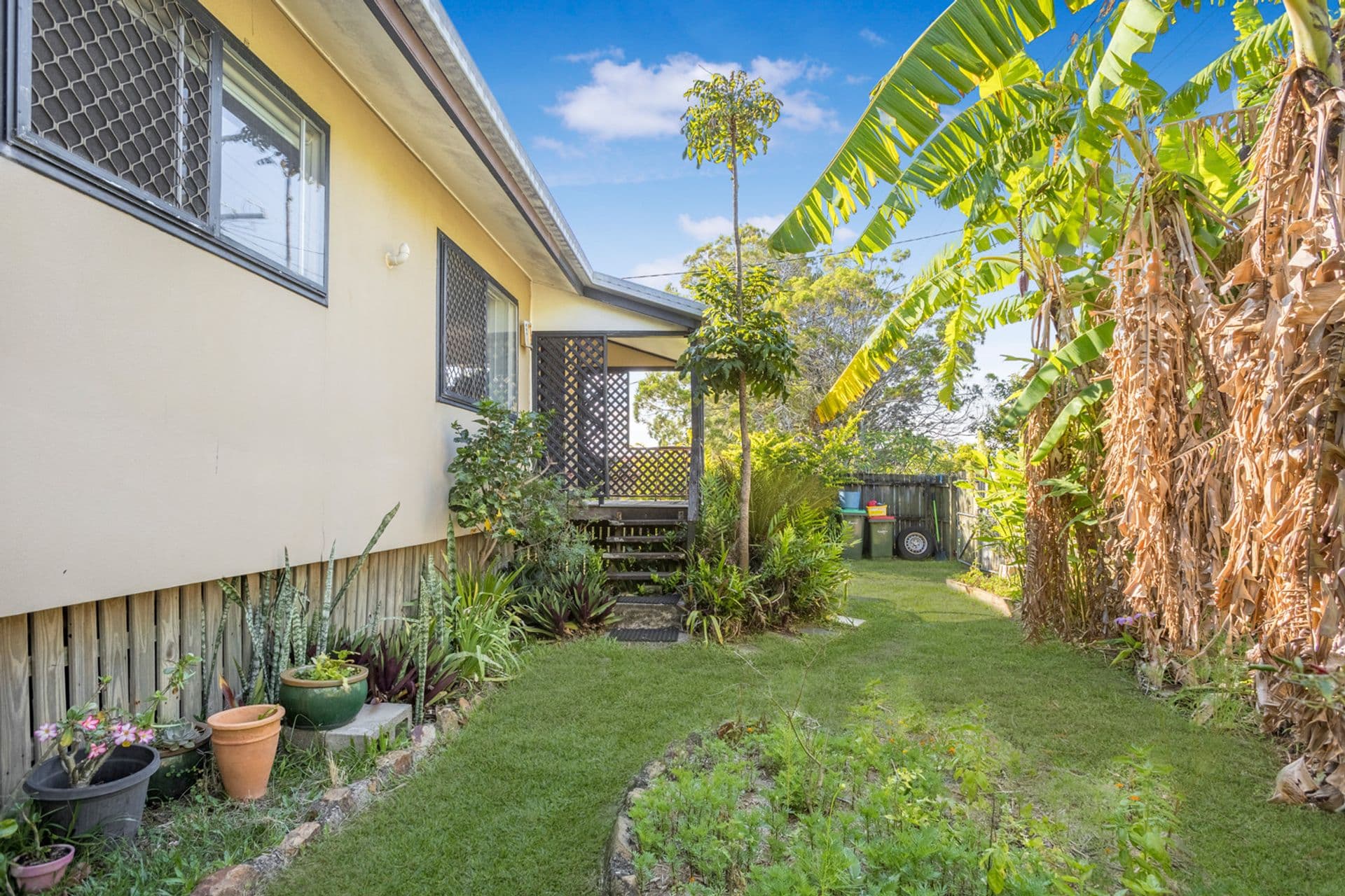 14 Buderim Street, Battery Hill, QLD, 4551, Battery Hill - Thumbnail 5