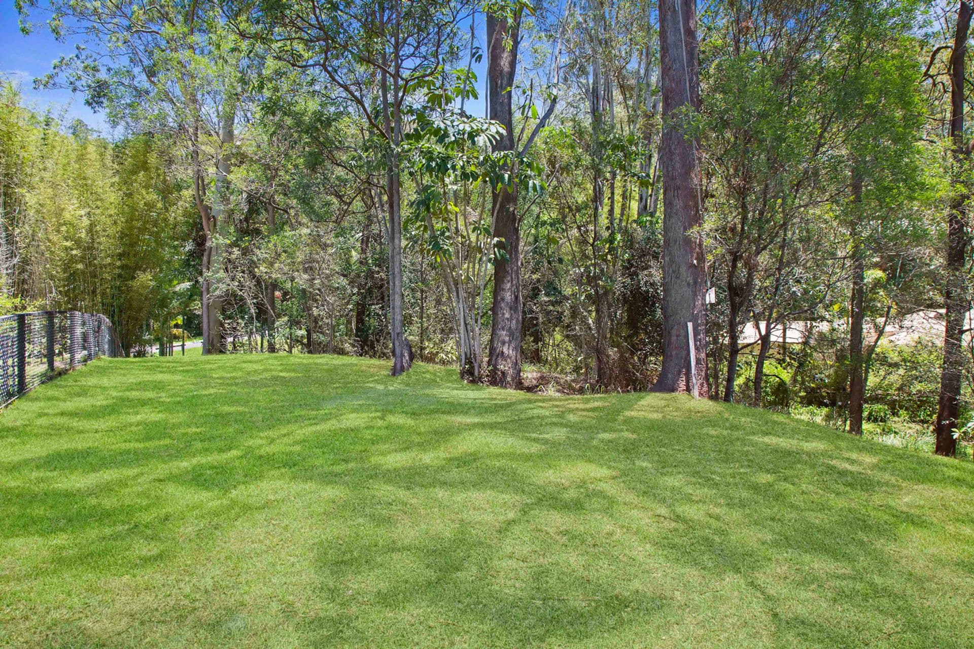 13 Tommys Court, Buderim, QLD, 4556, Buderim - Thumbnail 3