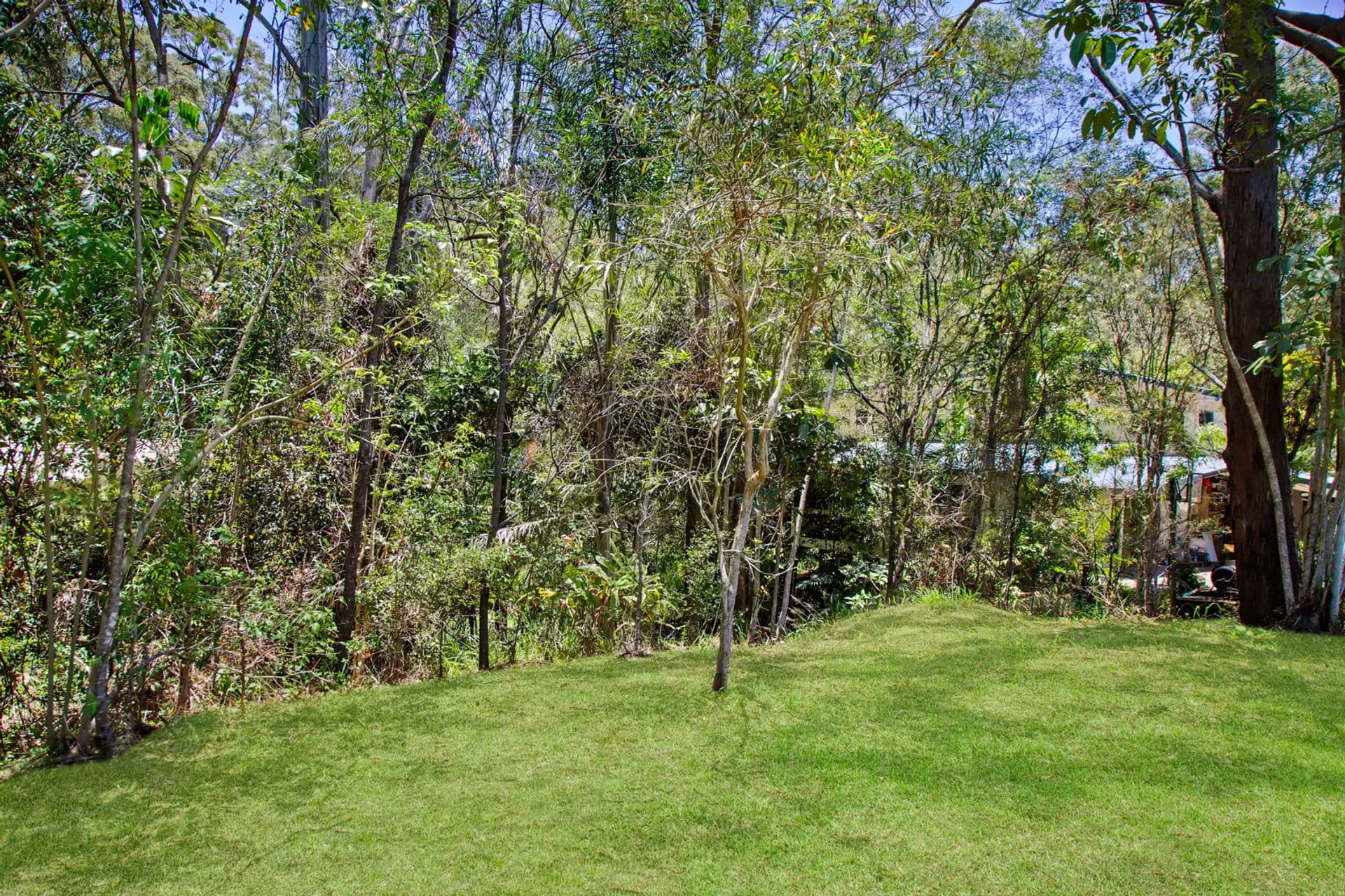 13 Tommys Court, Buderim, QLD, 4556, Buderim - Thumbnail 6