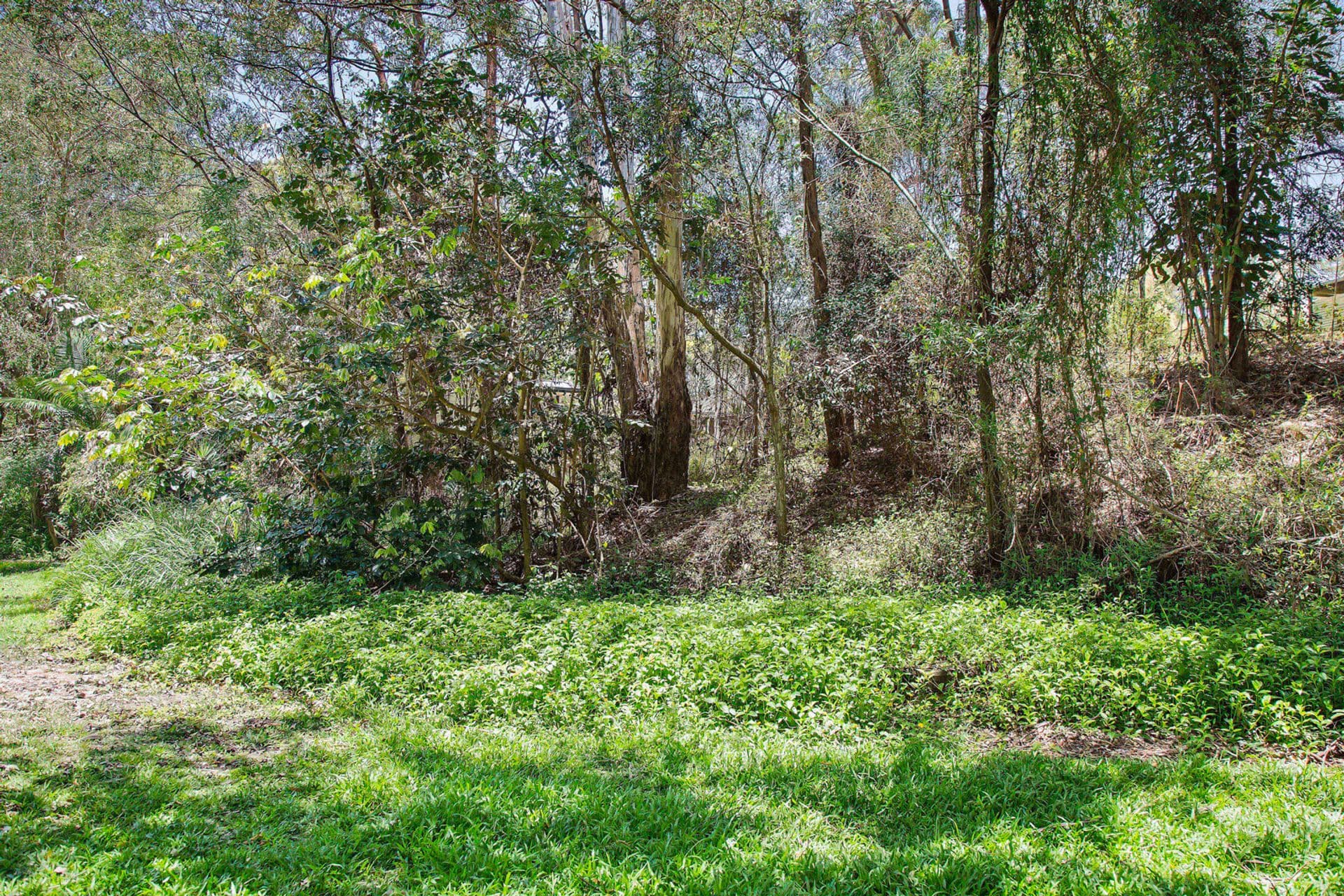 13 Tommys Court, Buderim, QLD, 4556, Buderim - Thumbnail 8