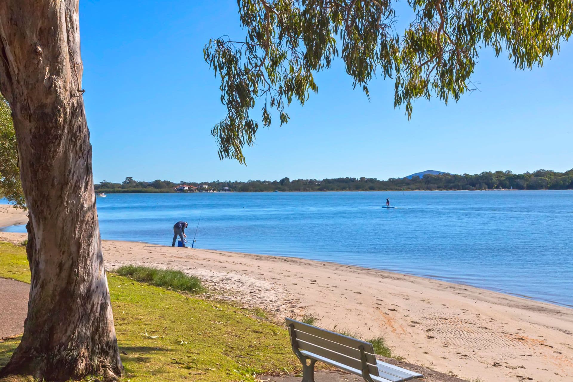 31/80 Picnic Point Esplanade, Maroochydore, QLD, 4558, Maroochydore - Thumbnail 4