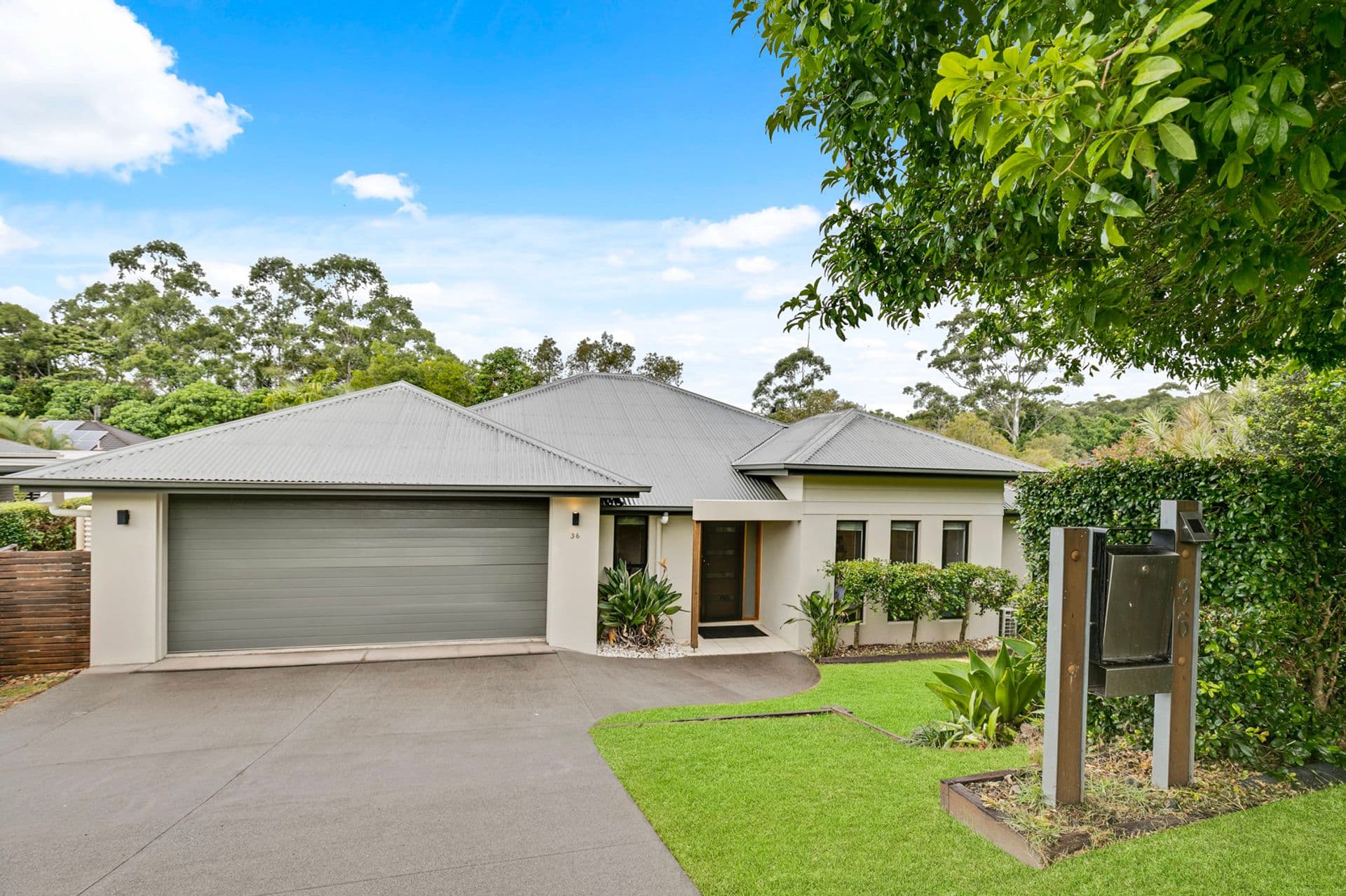 36 Petigrain Avenue, Palmwoods, QLD, 4555, Palmwoods - Thumbnail 2