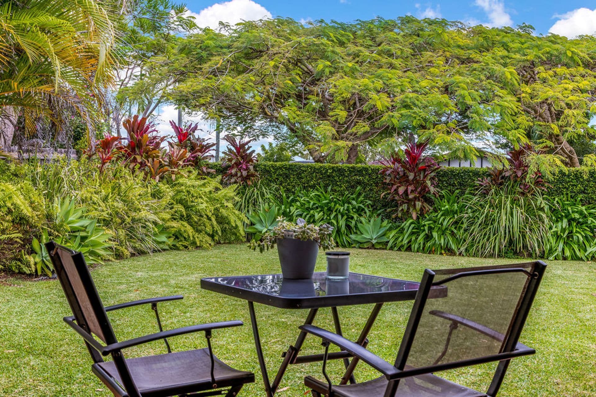 7 Cottman Street, Buderim, QLD, 4556, Buderim - Thumbnail 6