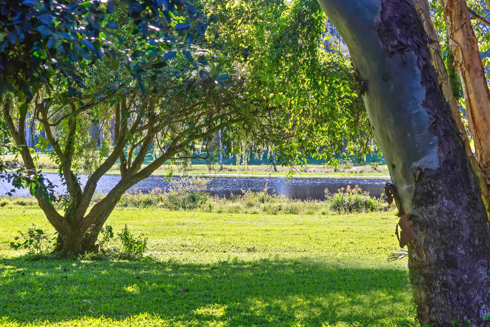 6/45 Dalton Drive, Maroochydore, QLD, 4558, Maroochydore - Thumbnail 2
