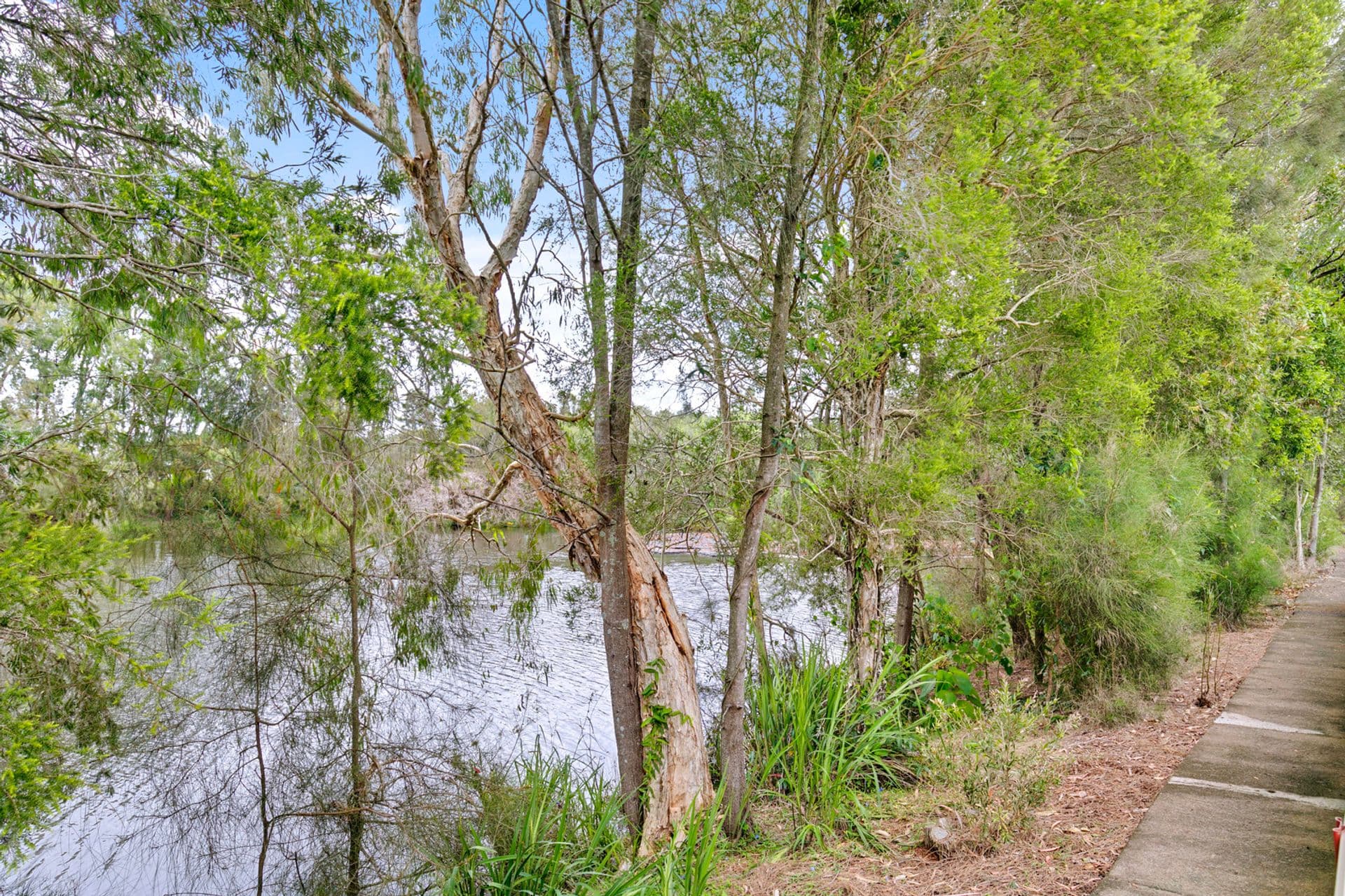 10/38 Dalton Drive, Maroochydore, QLD, 4558, Maroochydore - Thumbnail 7