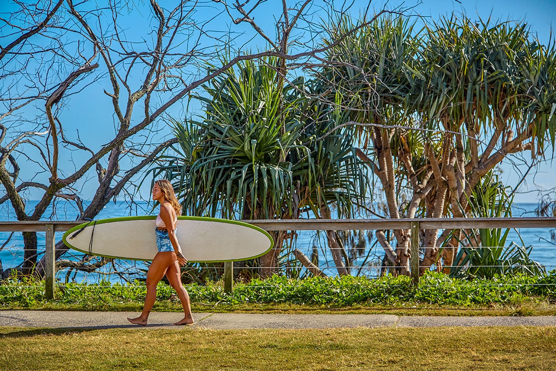 9/5-13 Parker Street, Maroochydore, QLD, 4558, Maroochydore - Thumbnail 4