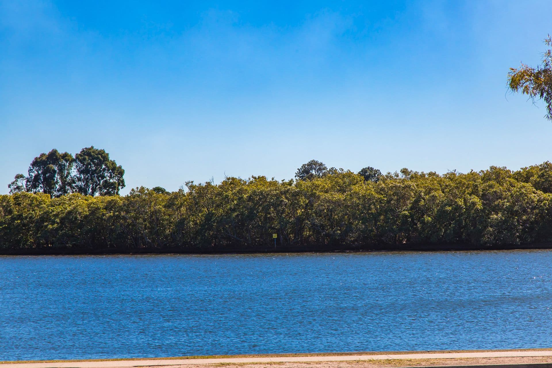 2/271 Bradman Avenue, Maroochydore, QLD, 4558, Maroochydore - Thumbnail 4