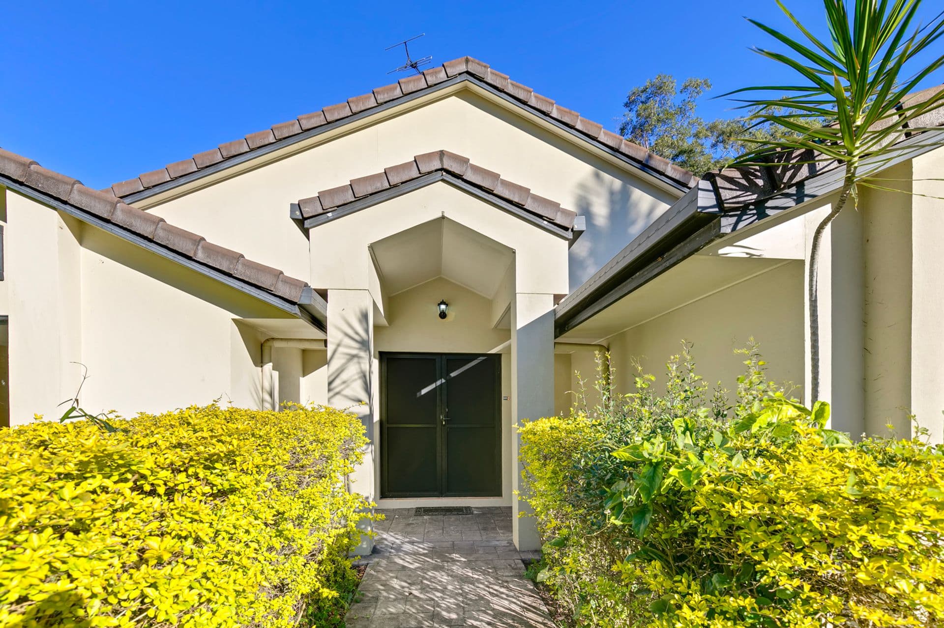 64 Lauren Drive, Buderim, QLD, 4556, Buderim - Thumbnail 2