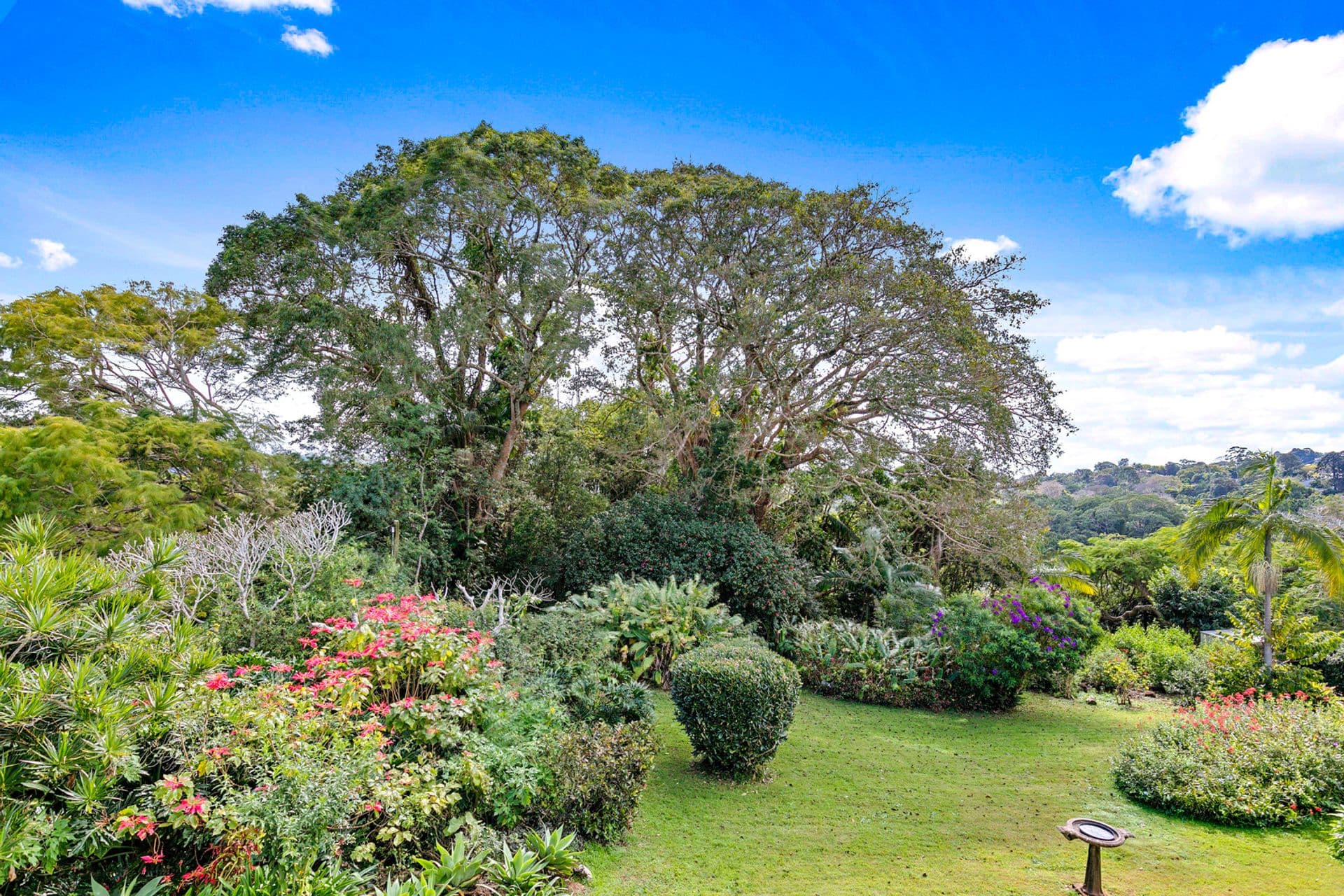 4/26 Amaroo Drive, Buderim, QLD, 4556, Buderim - Thumbnail 5