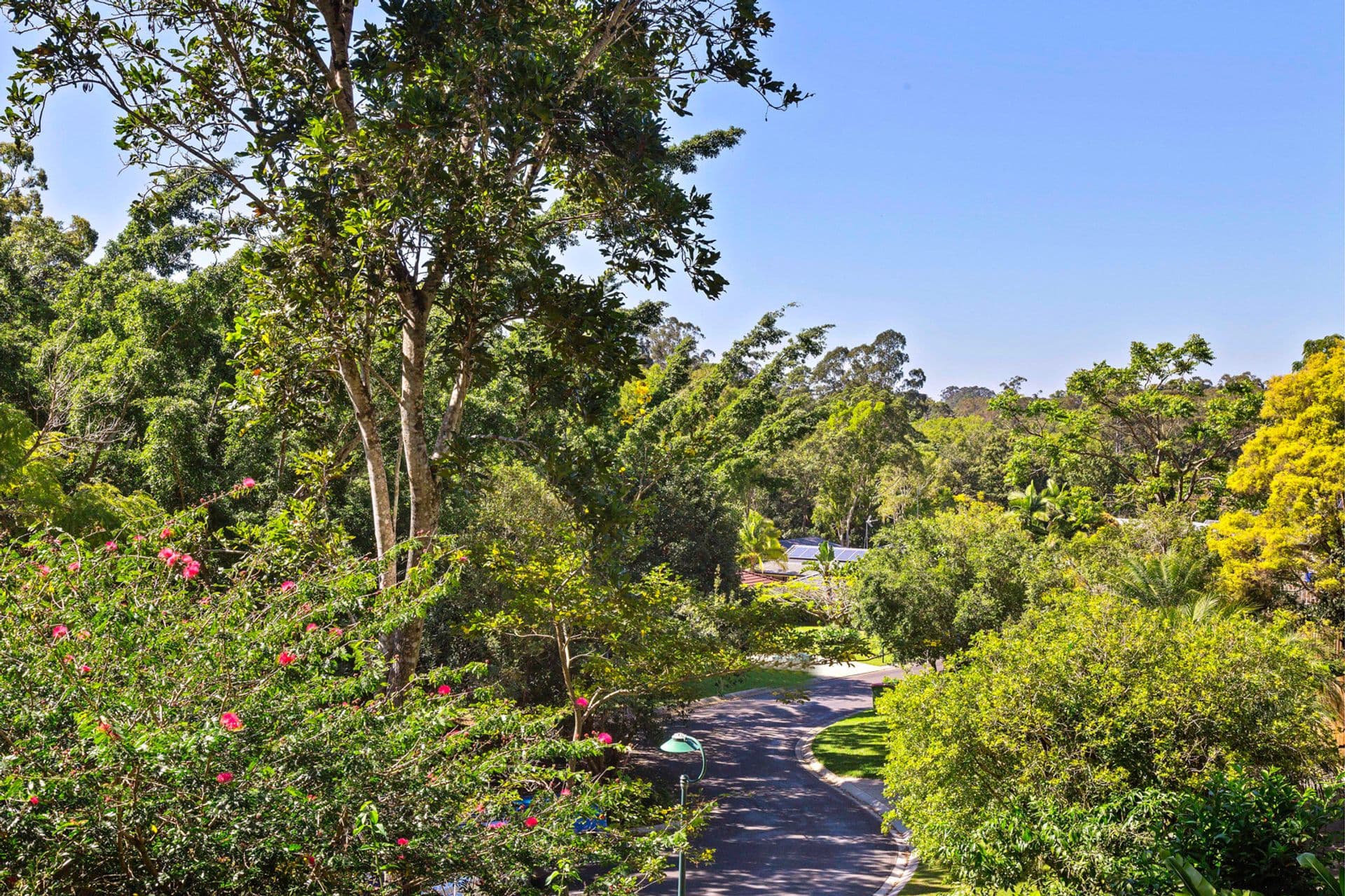 12 Melinda Court, Buderim, QLD, 4556, Buderim - Thumbnail 6