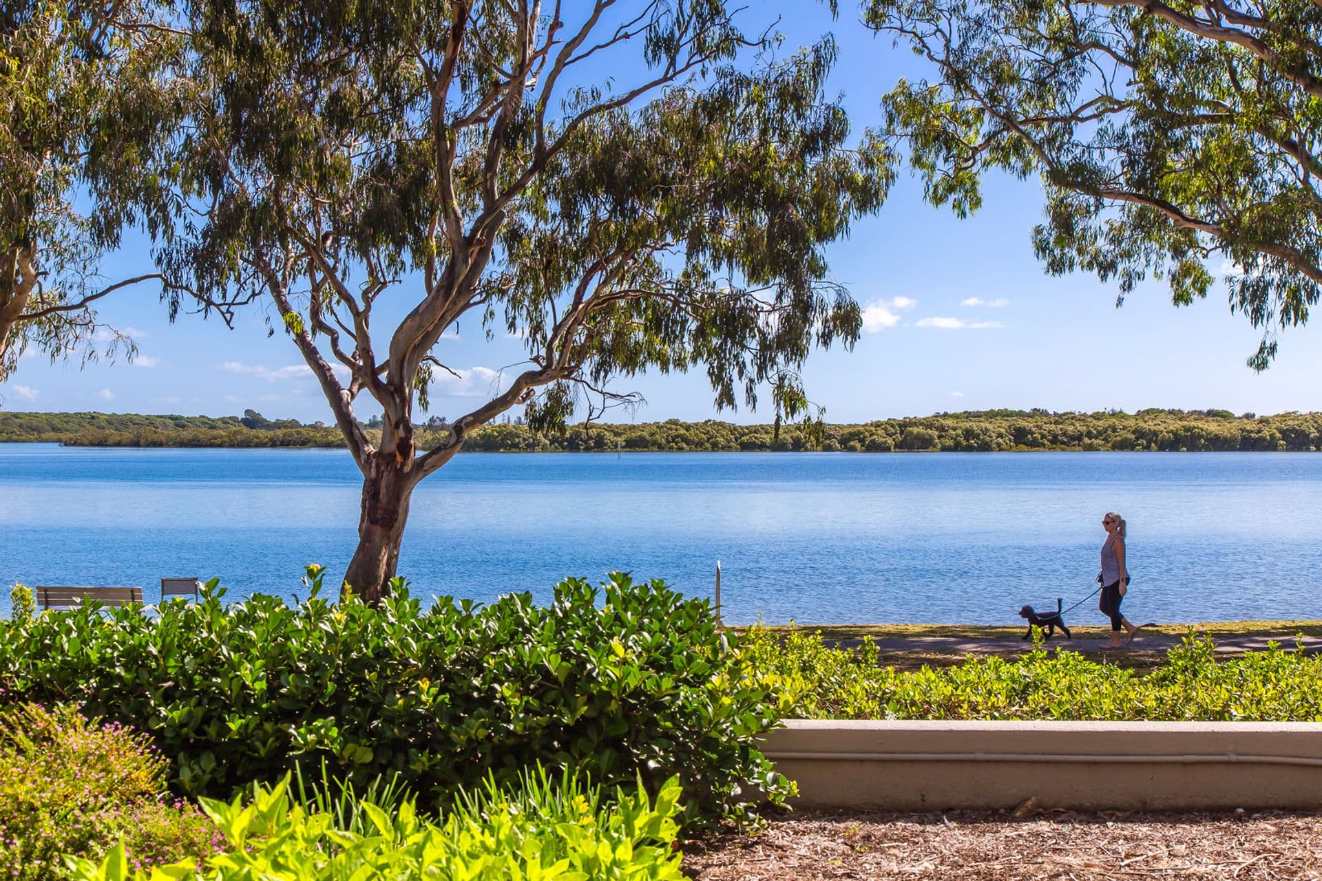 12/80 Picnic Point Esplanade, Maroochydore, QLD, 4558, Maroochydore - Thumbnail 2