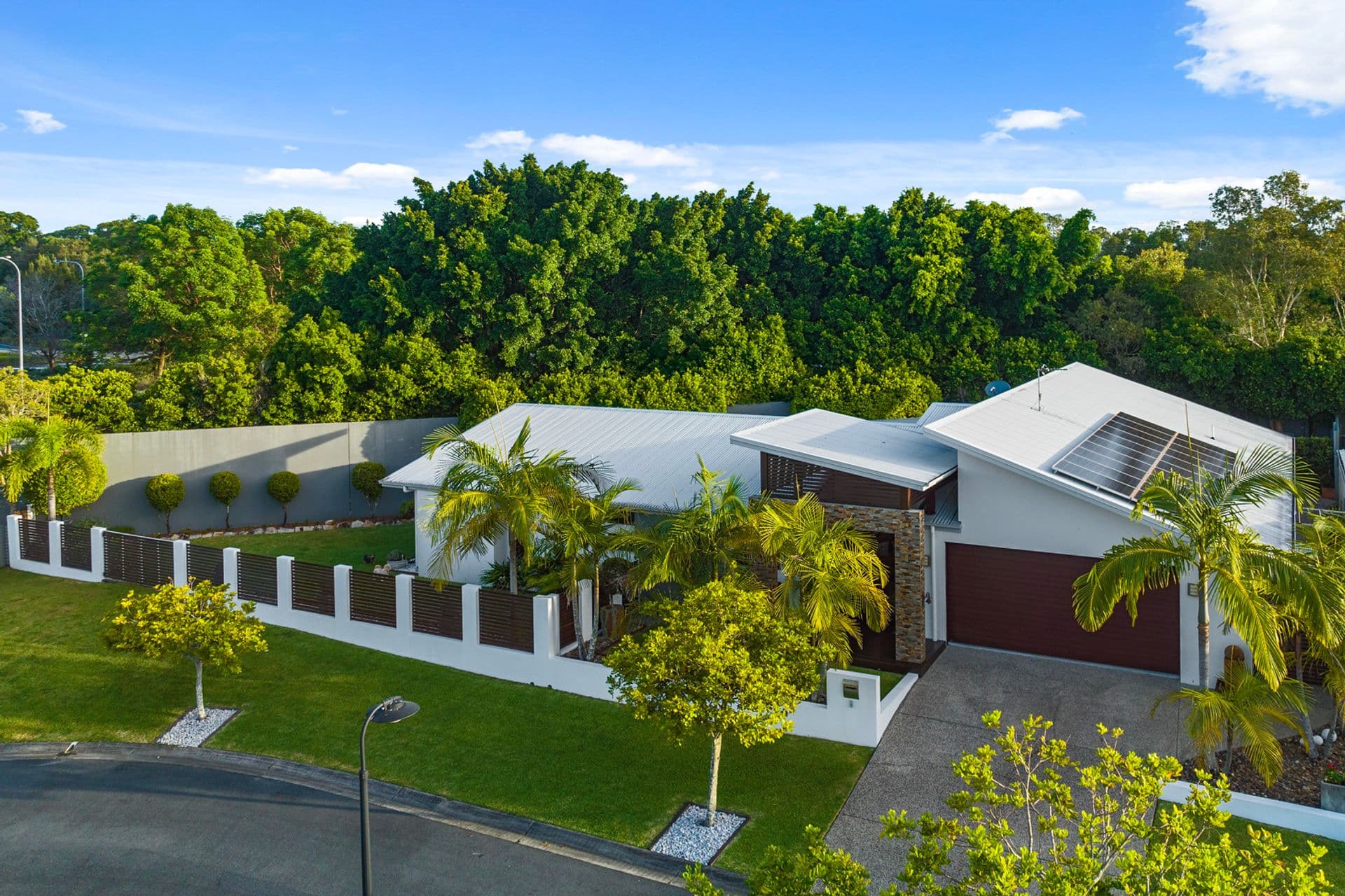 8 Flindersia Place, Mountain Creek, QLD, 4557, Mountain Creek - Thumbnail 4