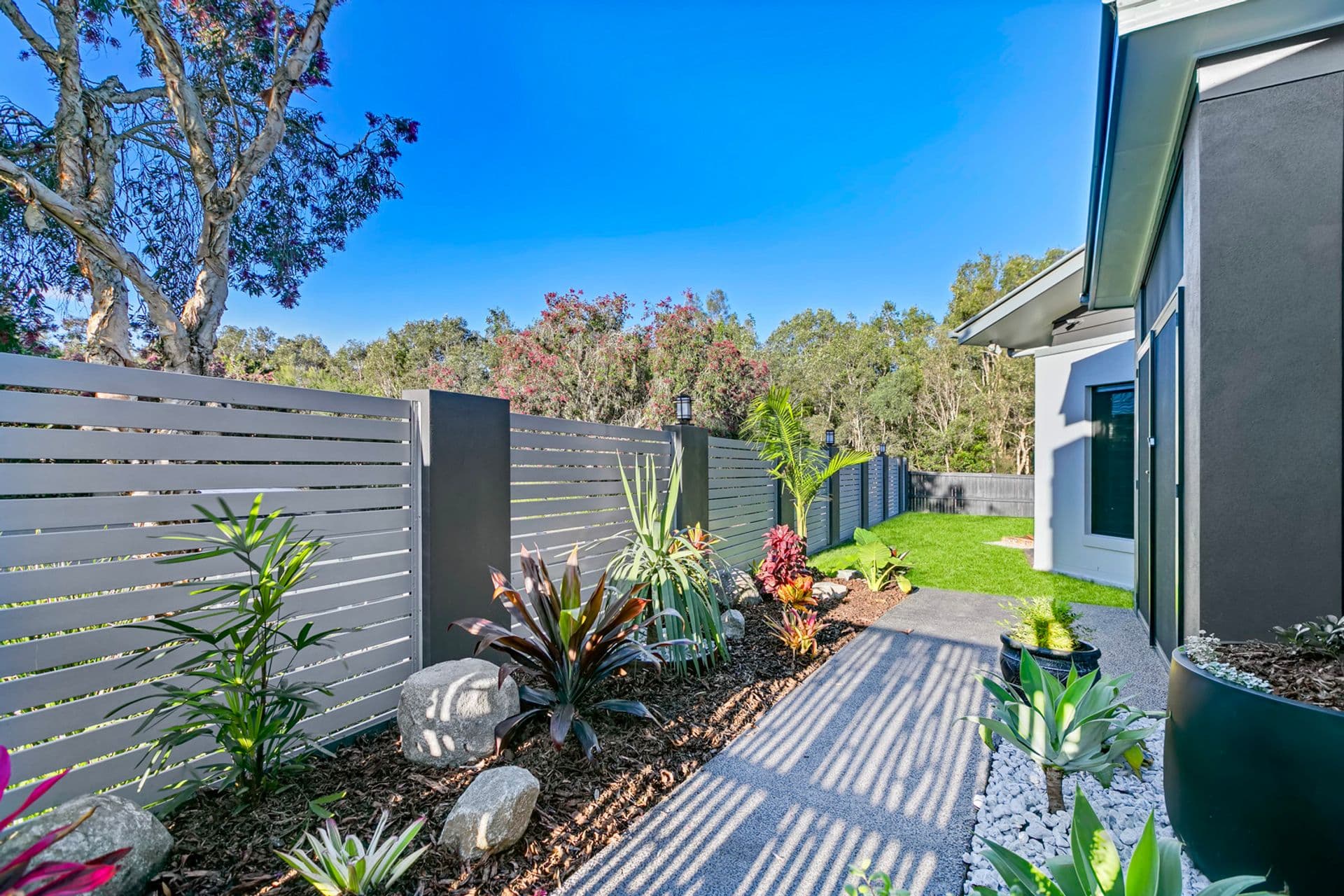16 Holloway Street, Mountain Creek, QLD, 4557, Mountain Creek - Thumbnail 4