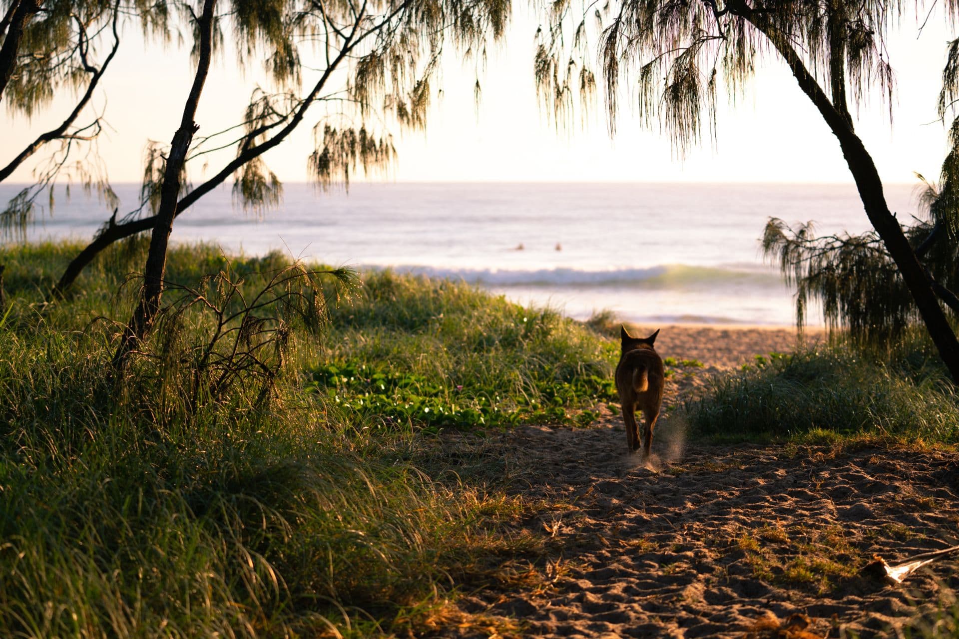 1/840 David Low Way, Marcoola, QLD, 4564, Marcoola - Thumbnail 5