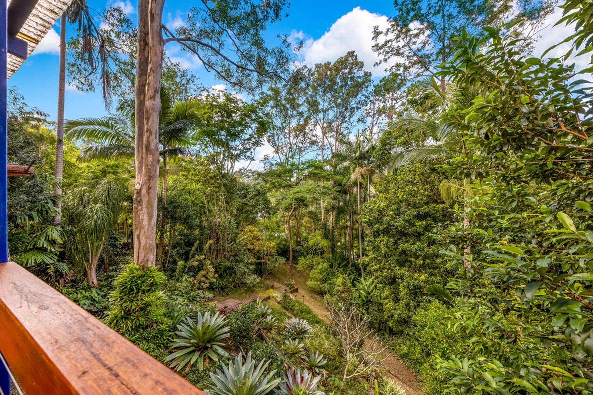 16 Edwin Road, Buderim, QLD, 4556, Buderim - Thumbnail 2