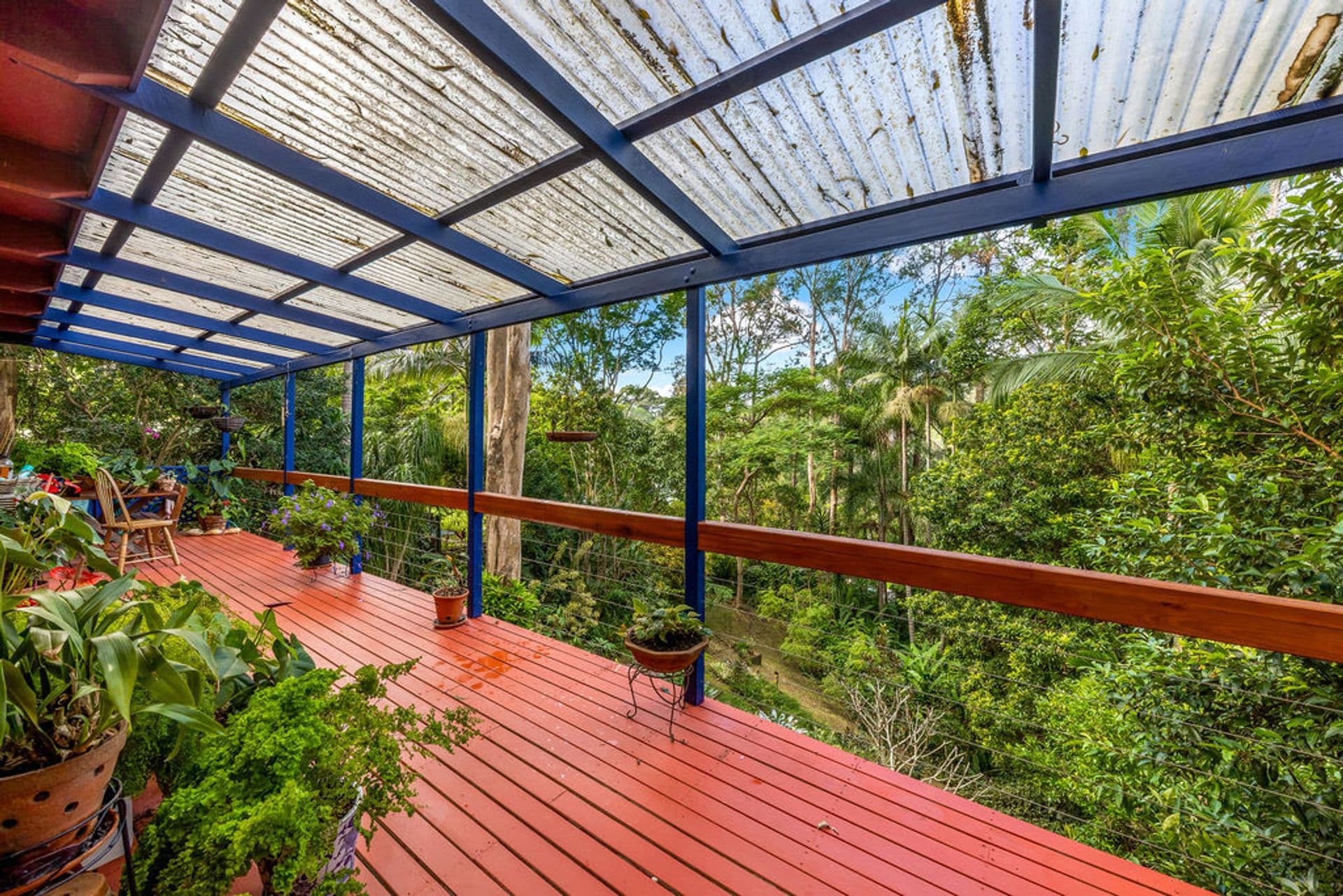 16 Edwin Road, Buderim, QLD, 4556, Buderim - Thumbnail 6