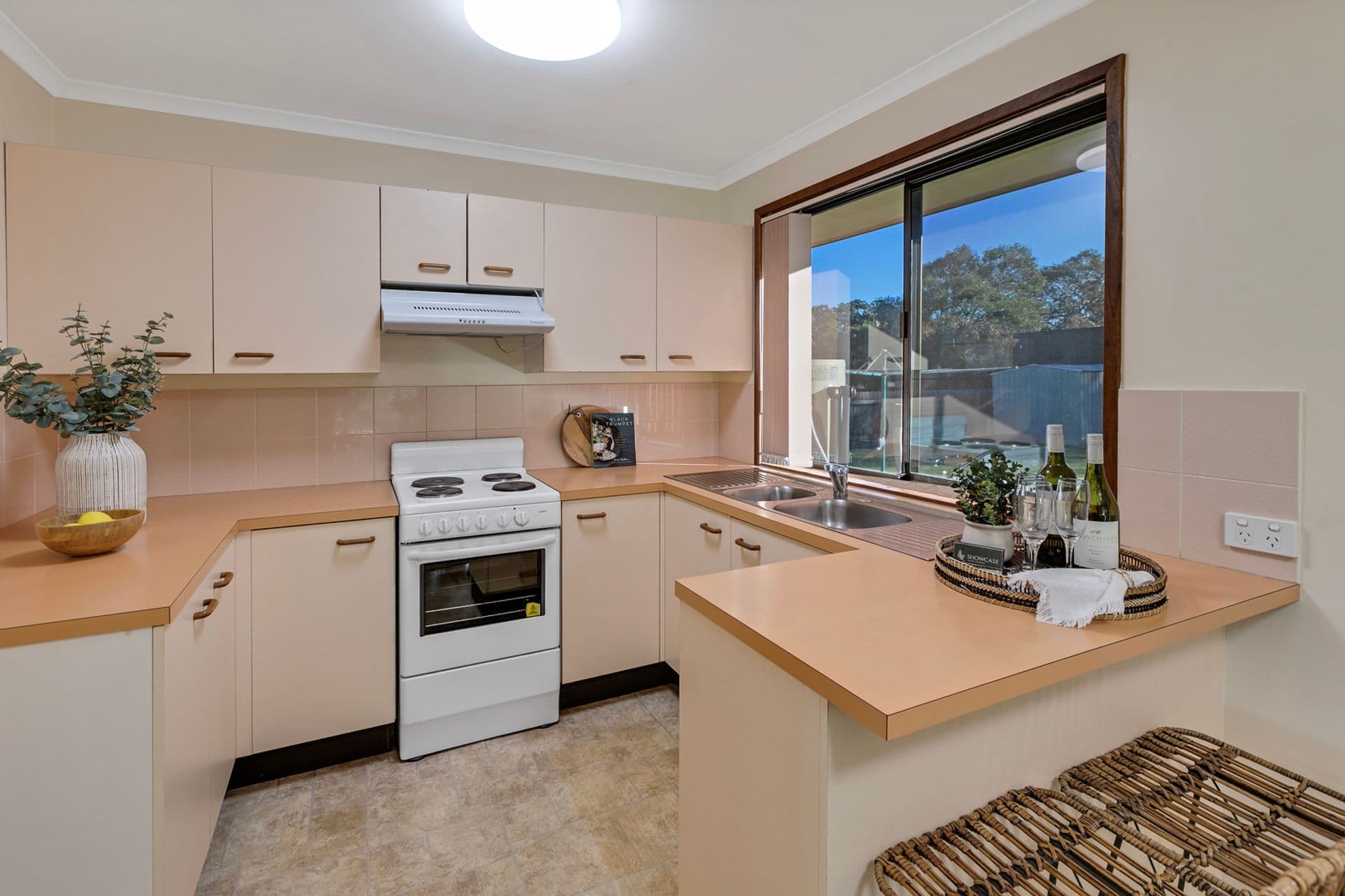 101 Elkhorn Street, Kuluin, QLD, 4558, Kuluin - Thumbnail 3