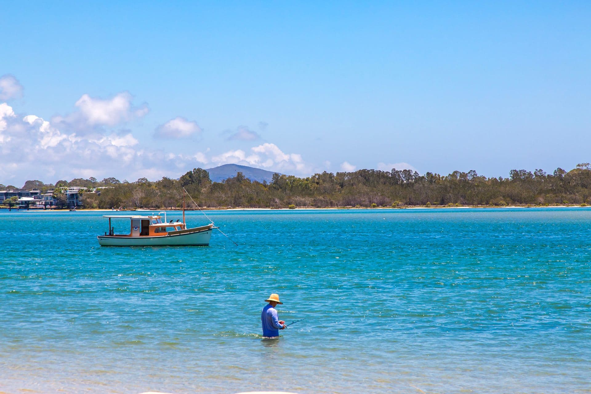 201/34 Picnic Point Esplanade, Maroochydore, QLD, 4558, Maroochydore - Thumbnail 5