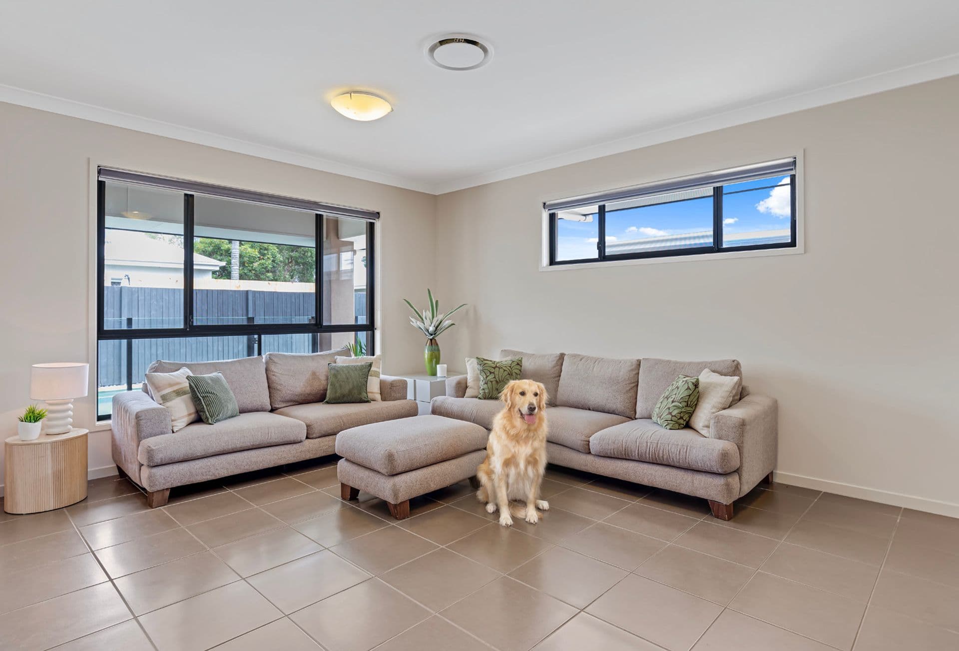 6 Heliconia Street, Mountain Creek, QLD, 4557, Mountain Creek - Thumbnail 7